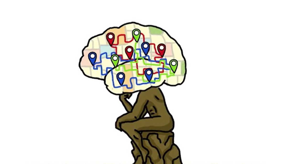 大脑的不同区域各有什么功能