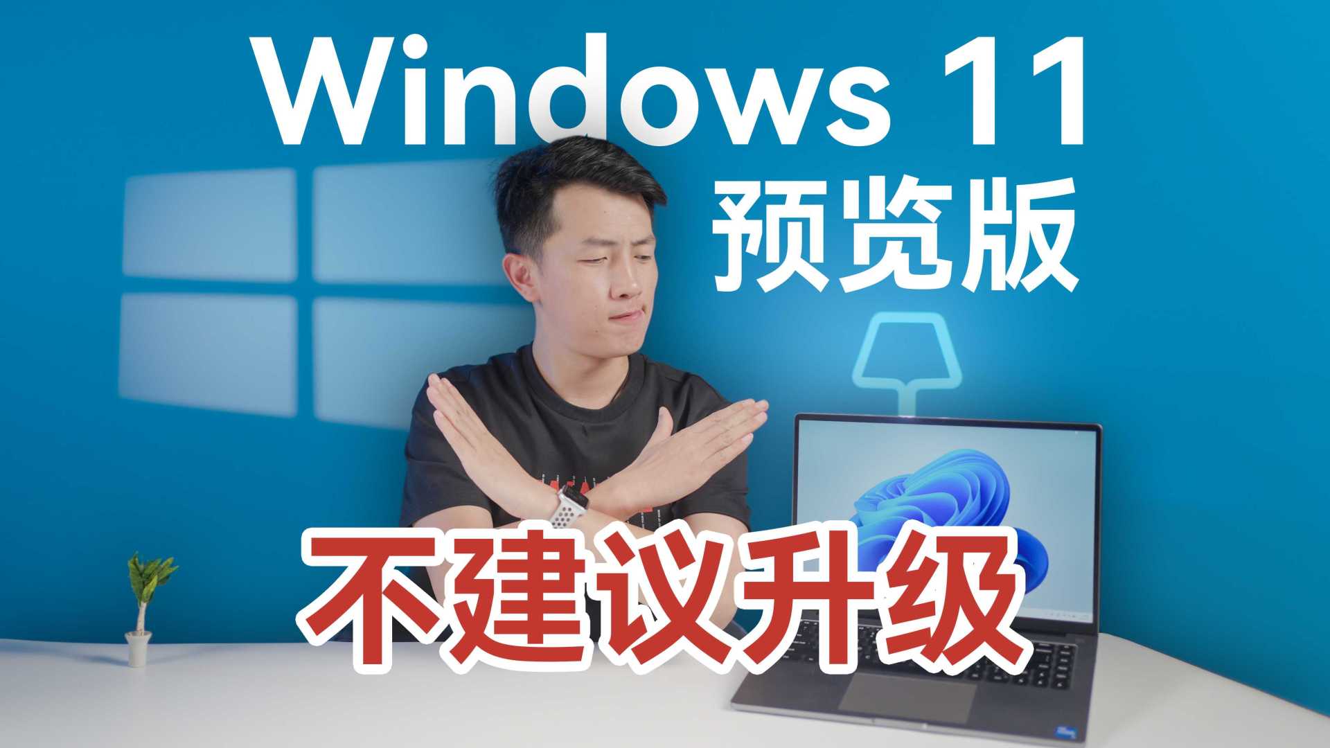 气到骂街！Windows 11 竟然反向升级？