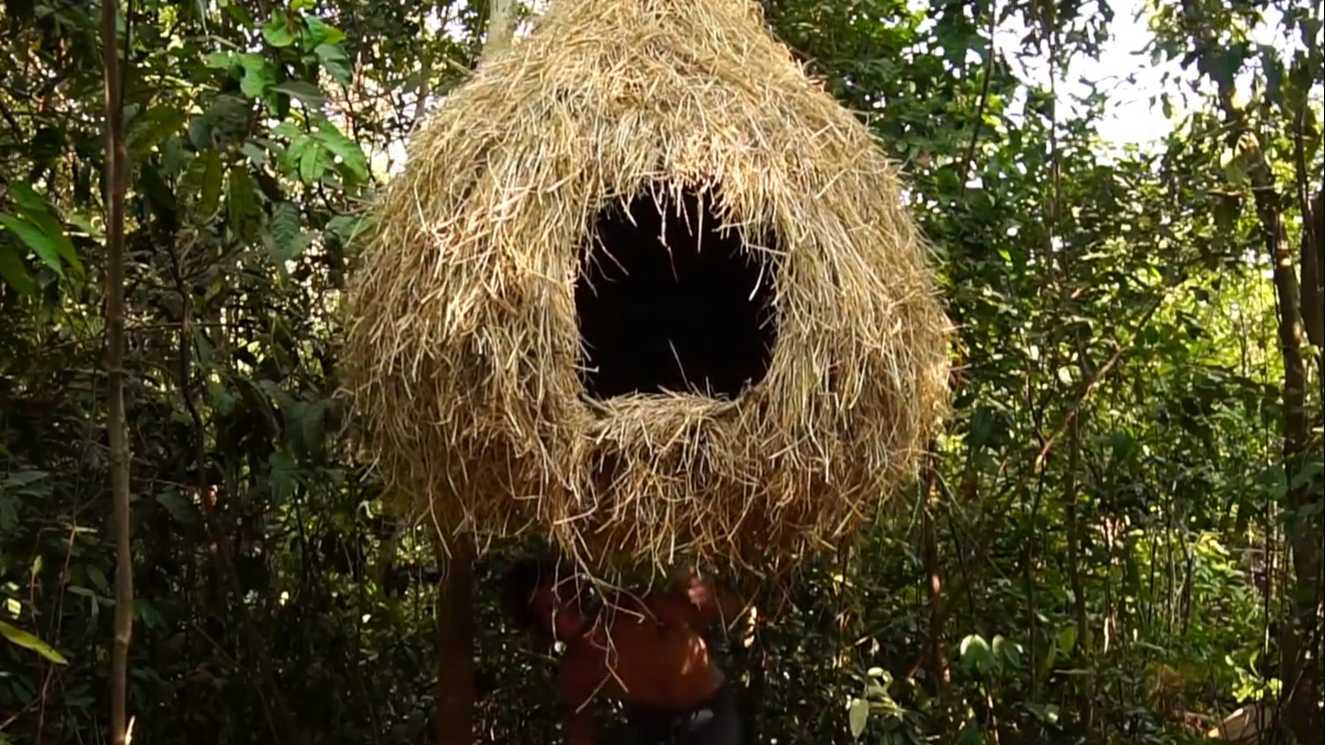 丛林小哥在林中建鸟巢树屋