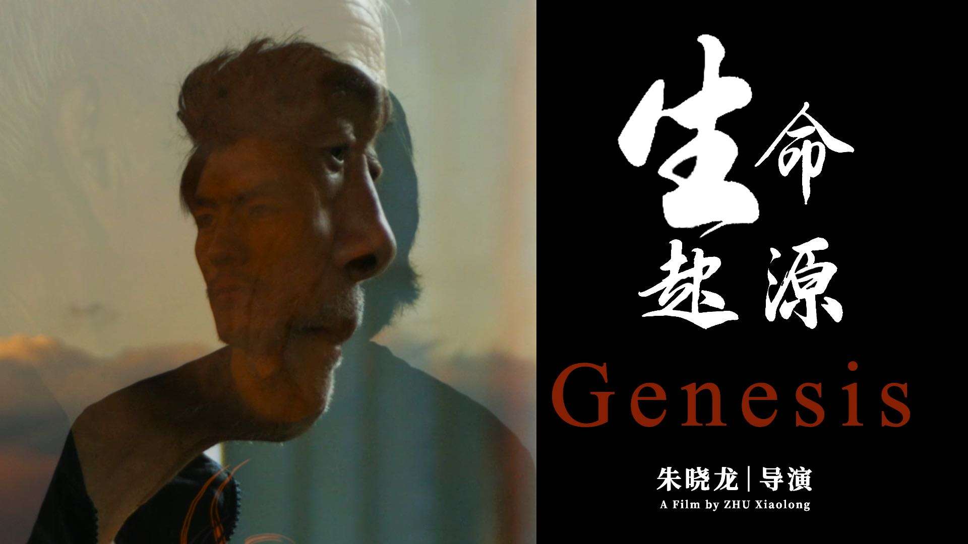 竖屏实验短片《生命起源》（Genesis）
