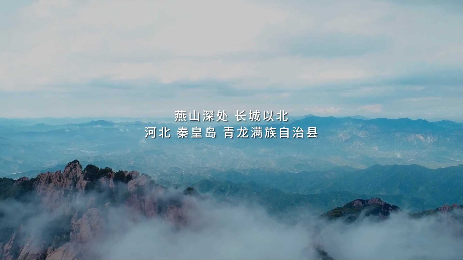 阿里基金&新片场 青龙教育纪录片