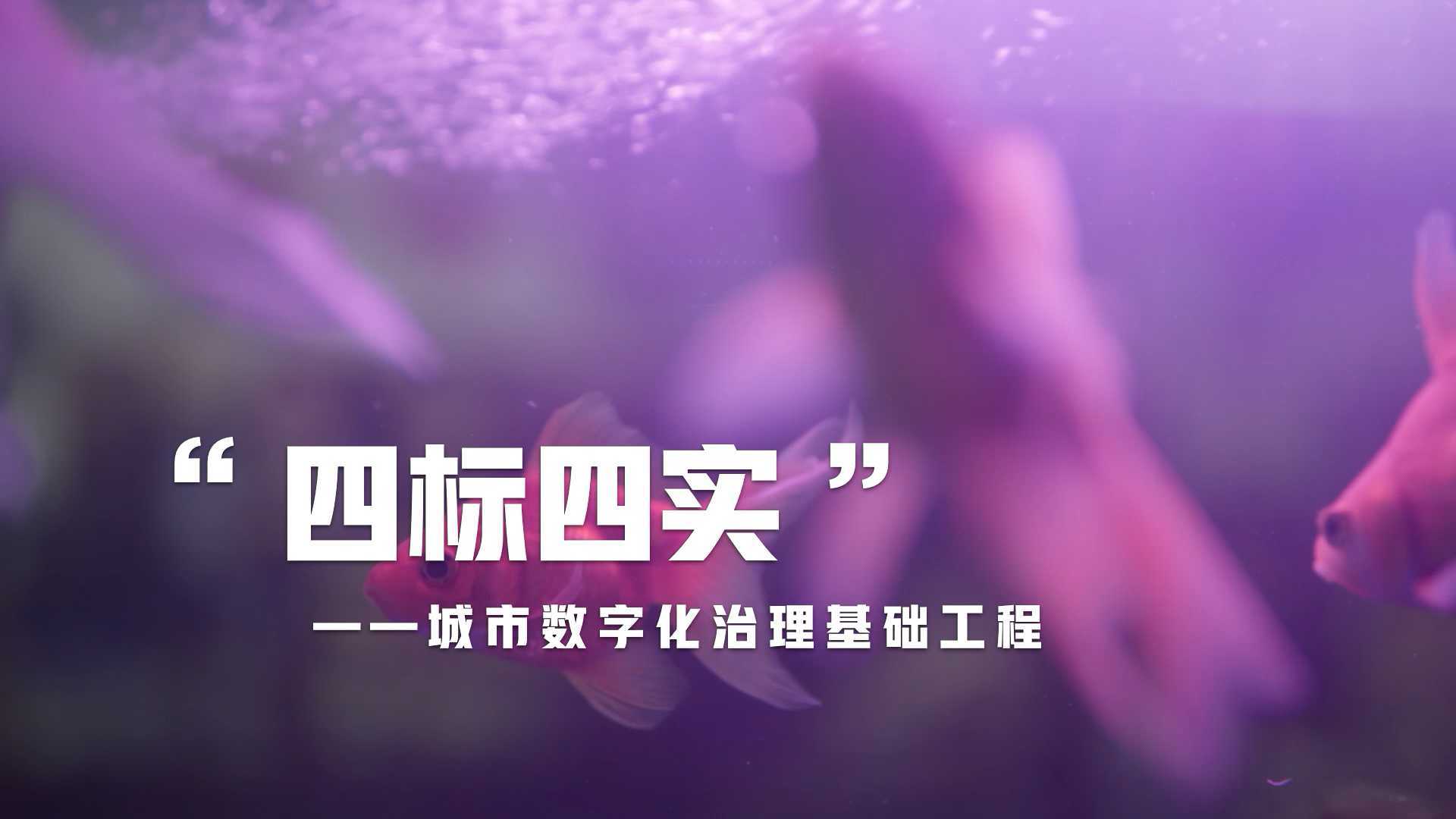 广州公安 四开四实 宣传片