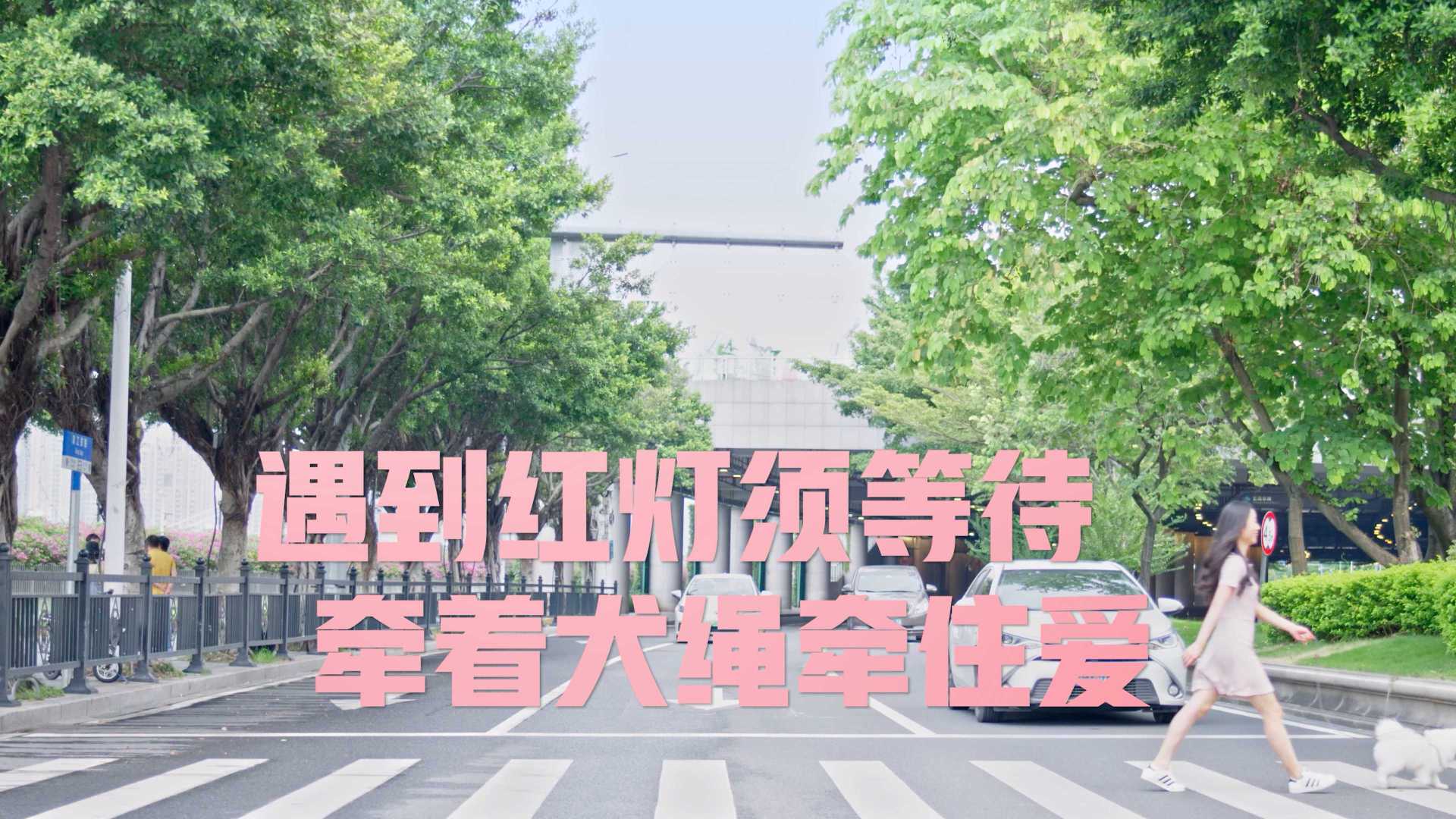广州市文明养犬宣传片
