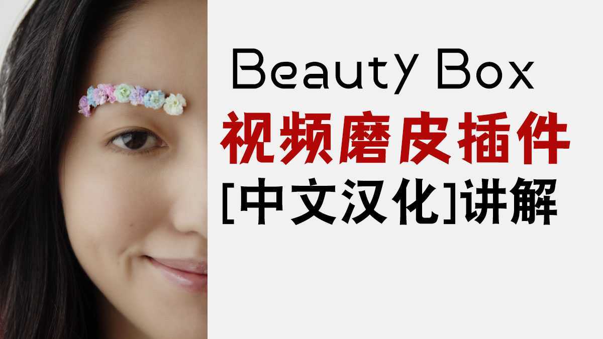汉化中文版Beauty Box视频磨皮美颜插件AE和PR通用