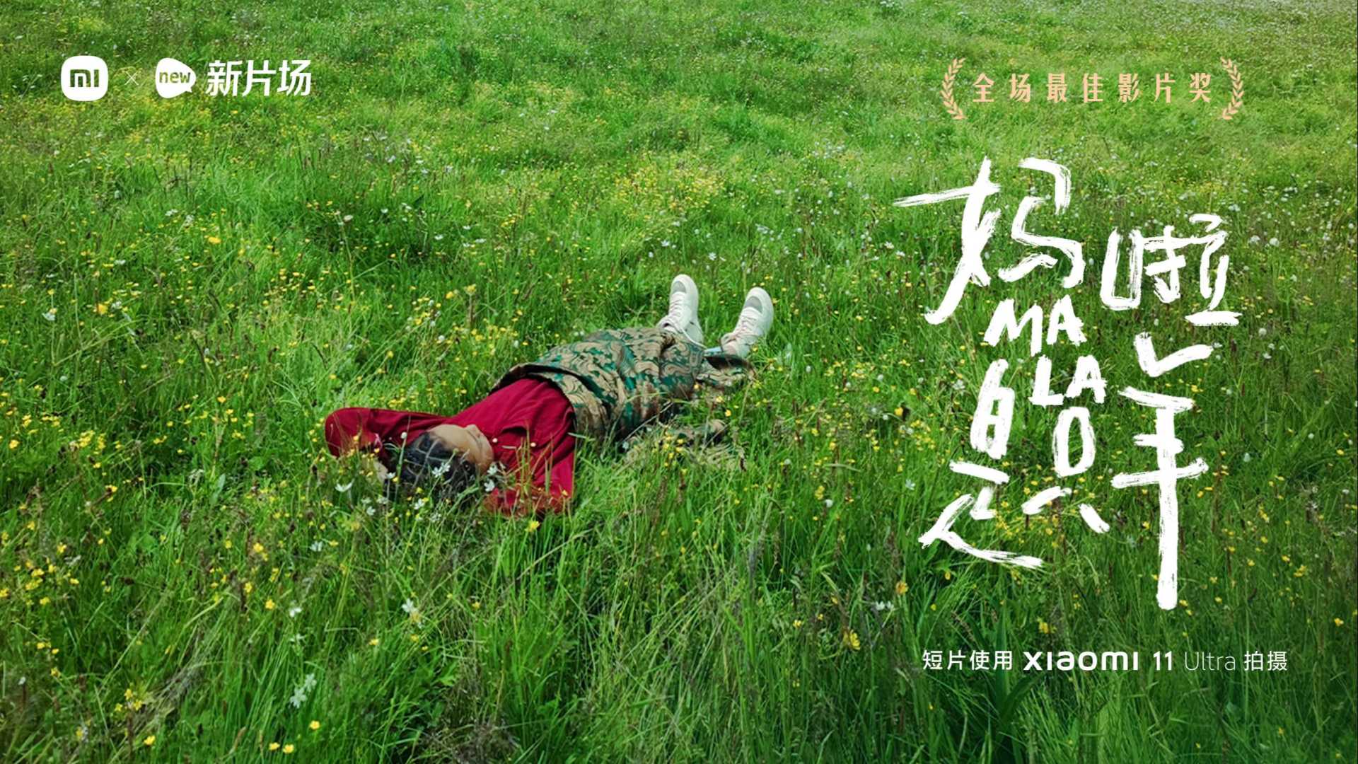 第三届中国电影金鸡奖手机电影计划评审团特别推荐奖-《妈啦是只羊》
