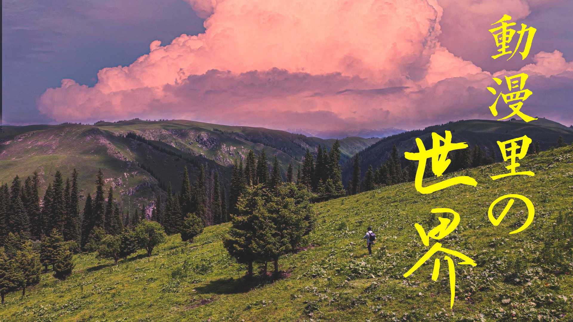 4K旅拍丨夏日旅行·童话里的北疆