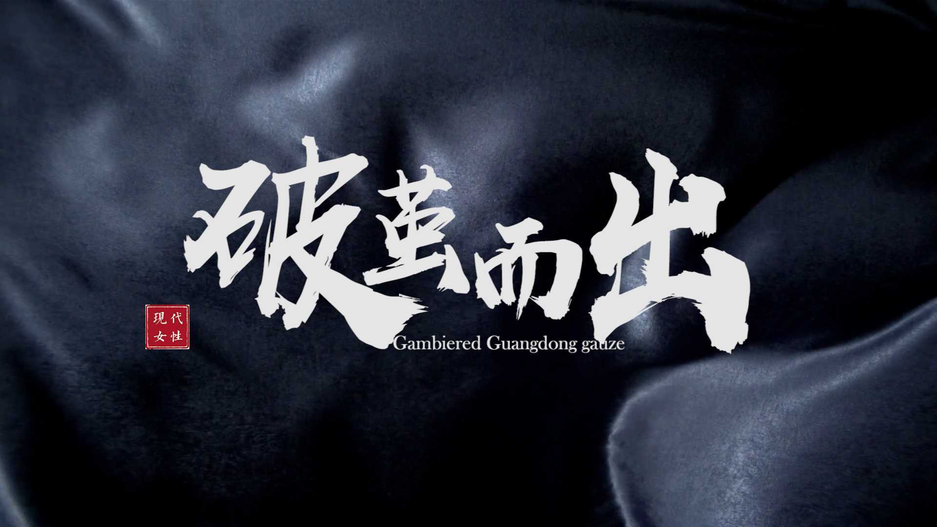 华南农业大学艺术学院毕设 剧情短片《破茧而出》