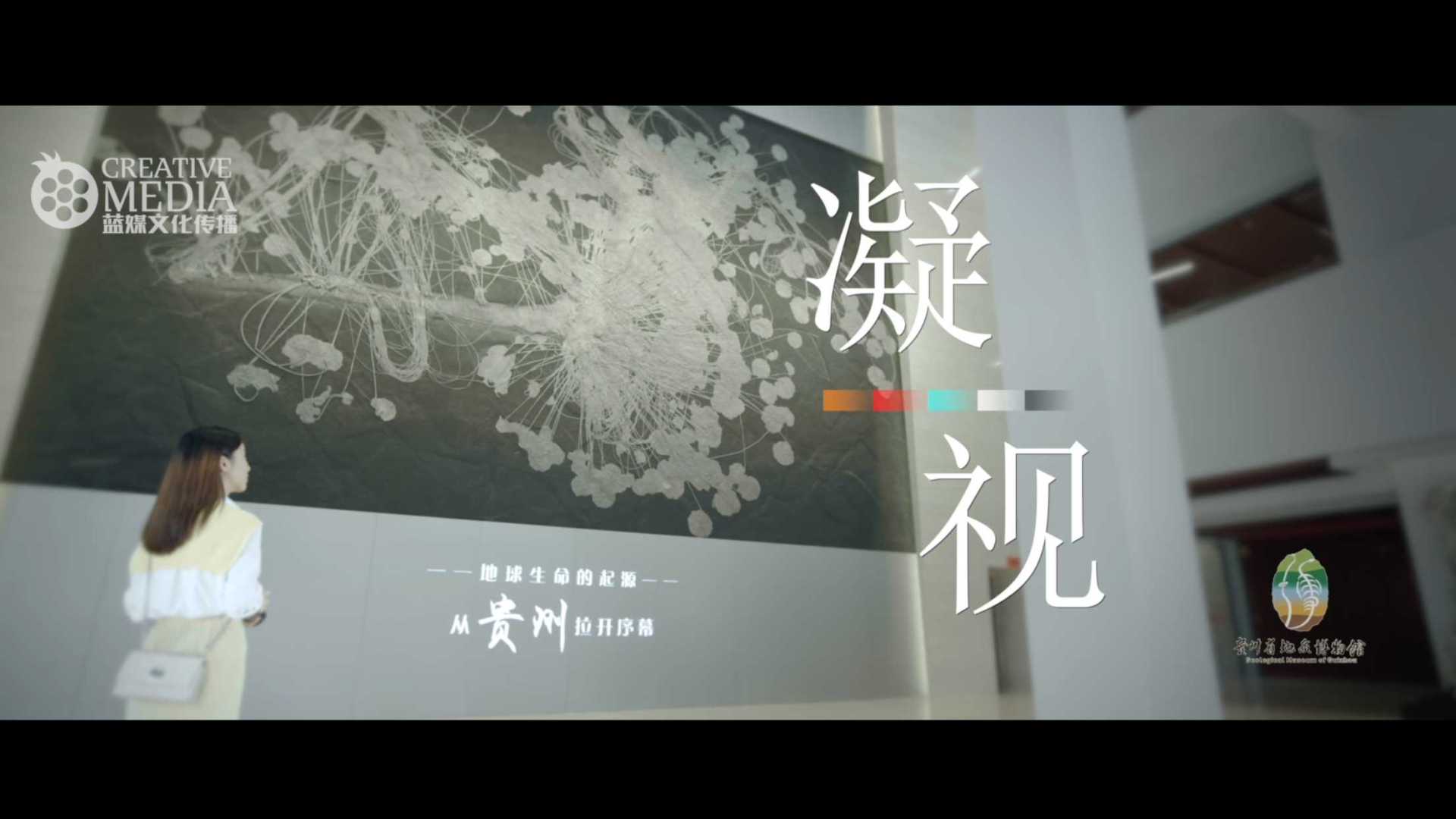 不一样的博物馆宣传片|贵州省地质博物馆《凝视》