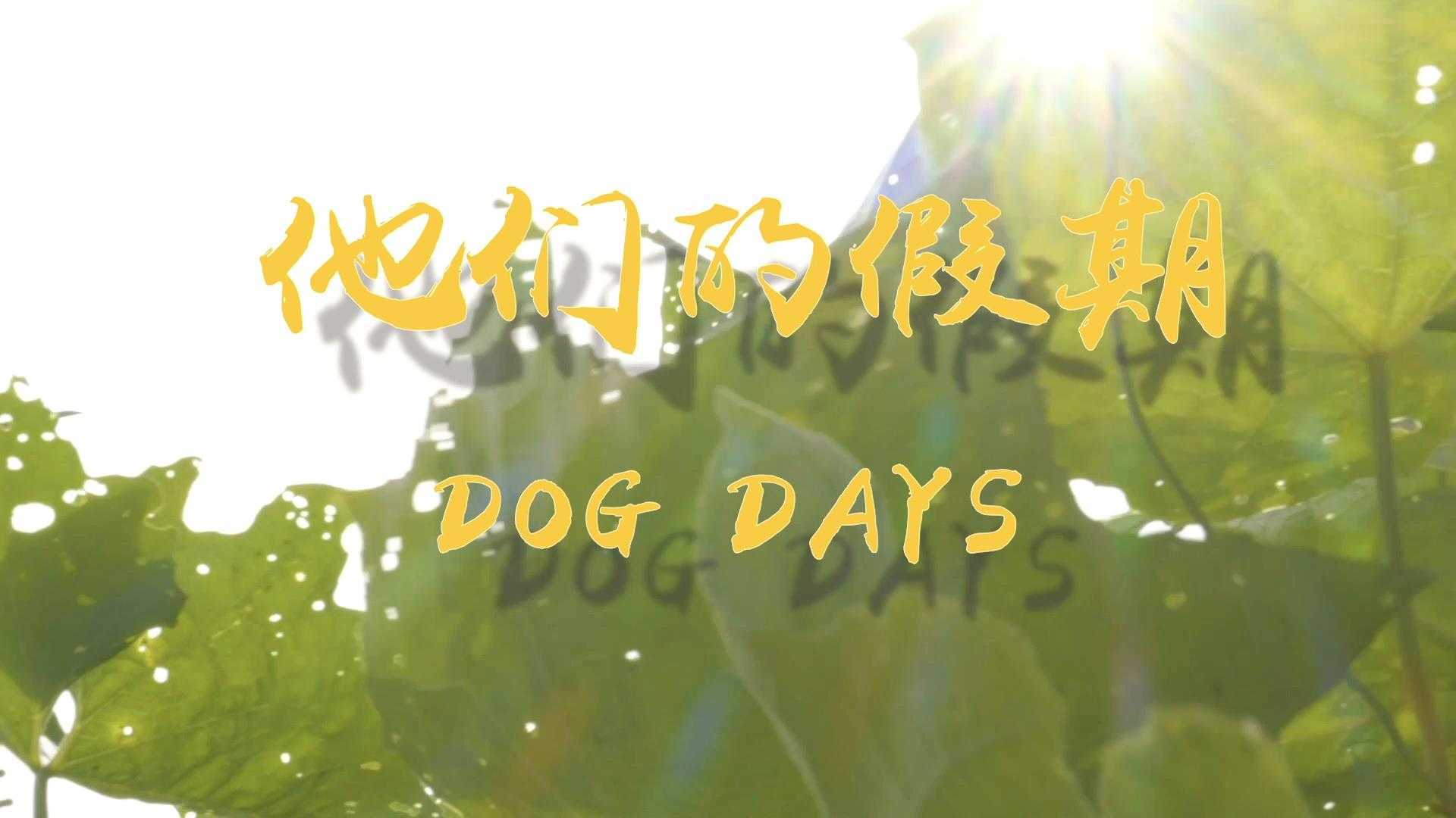 Dog Days 他们的假期