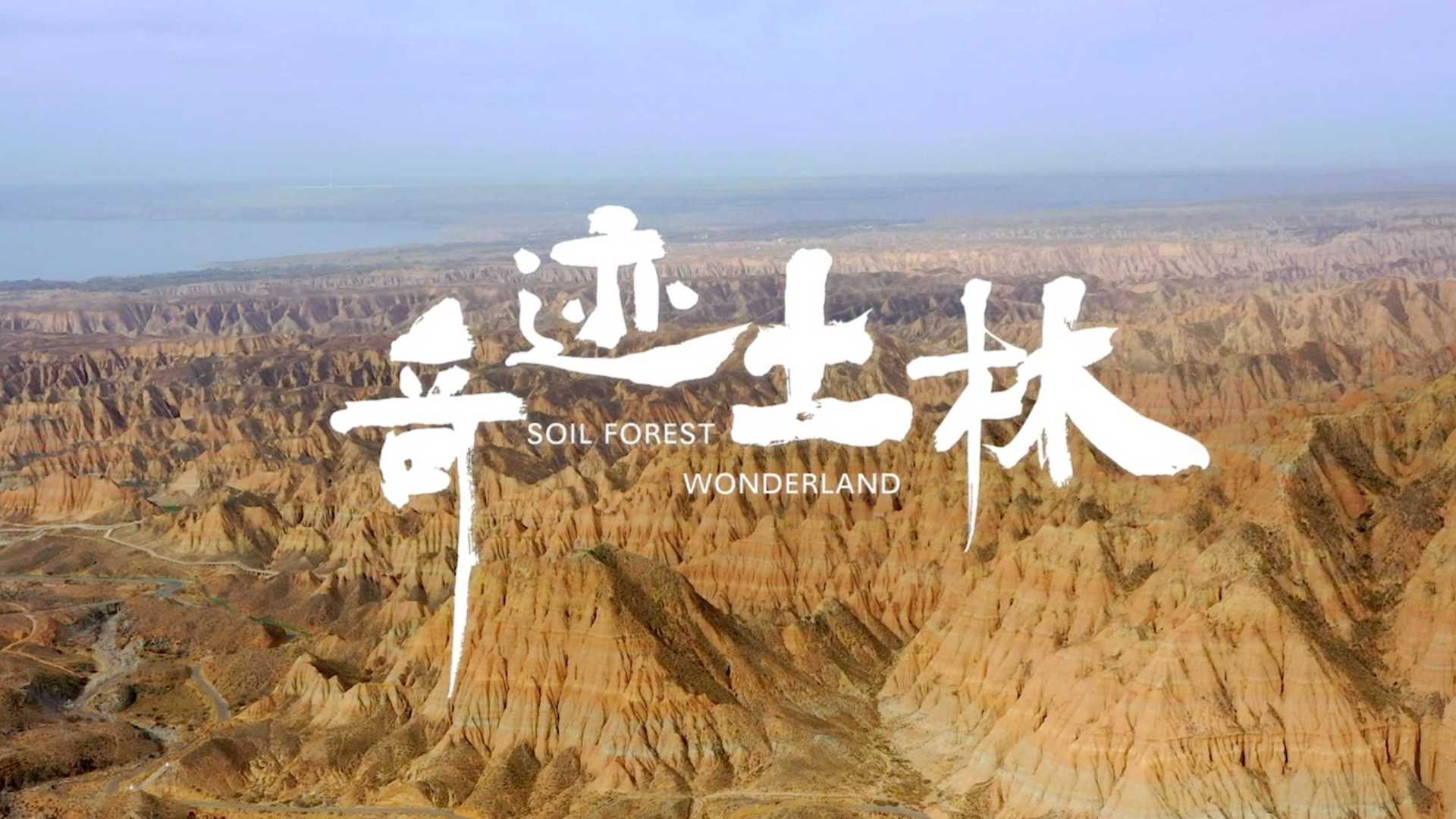 《龙羊峡土林国家地质公园》- 科普宣传片