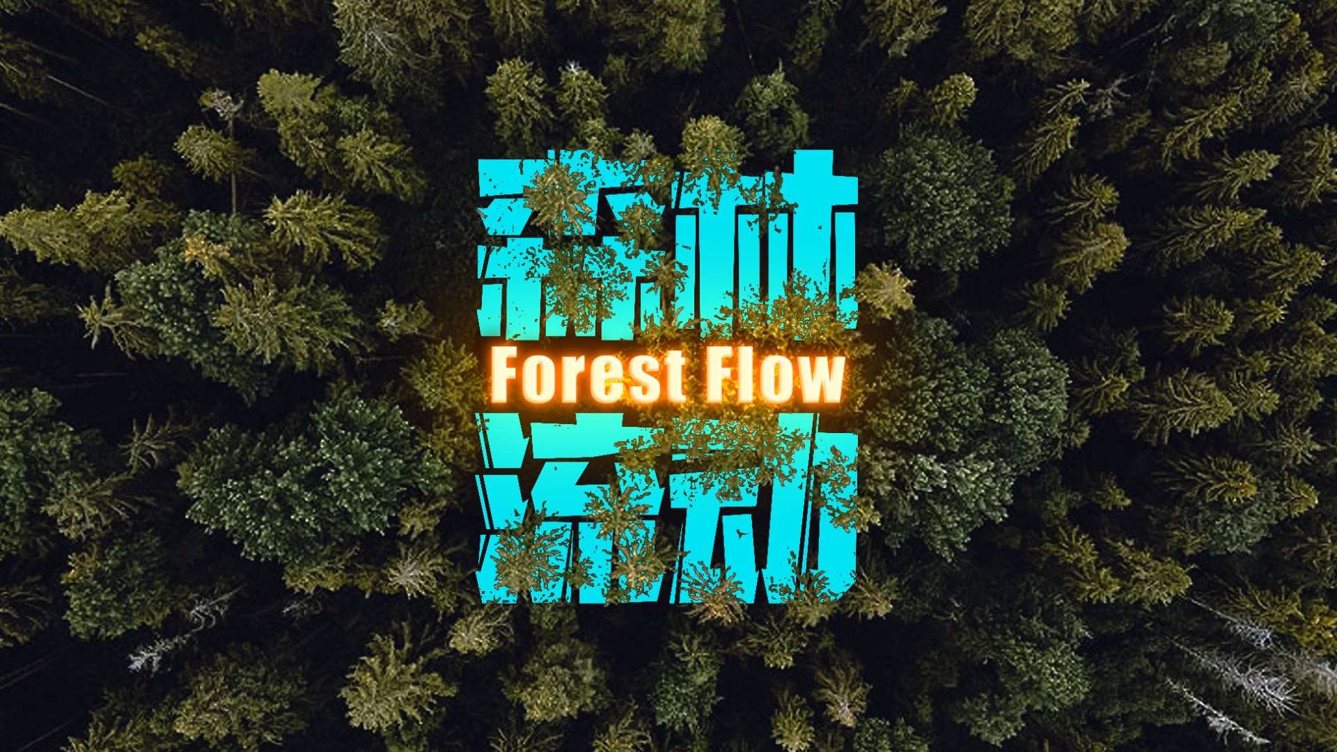 跑酷短片《森林流动》-身体机能的极限与大自然的融合