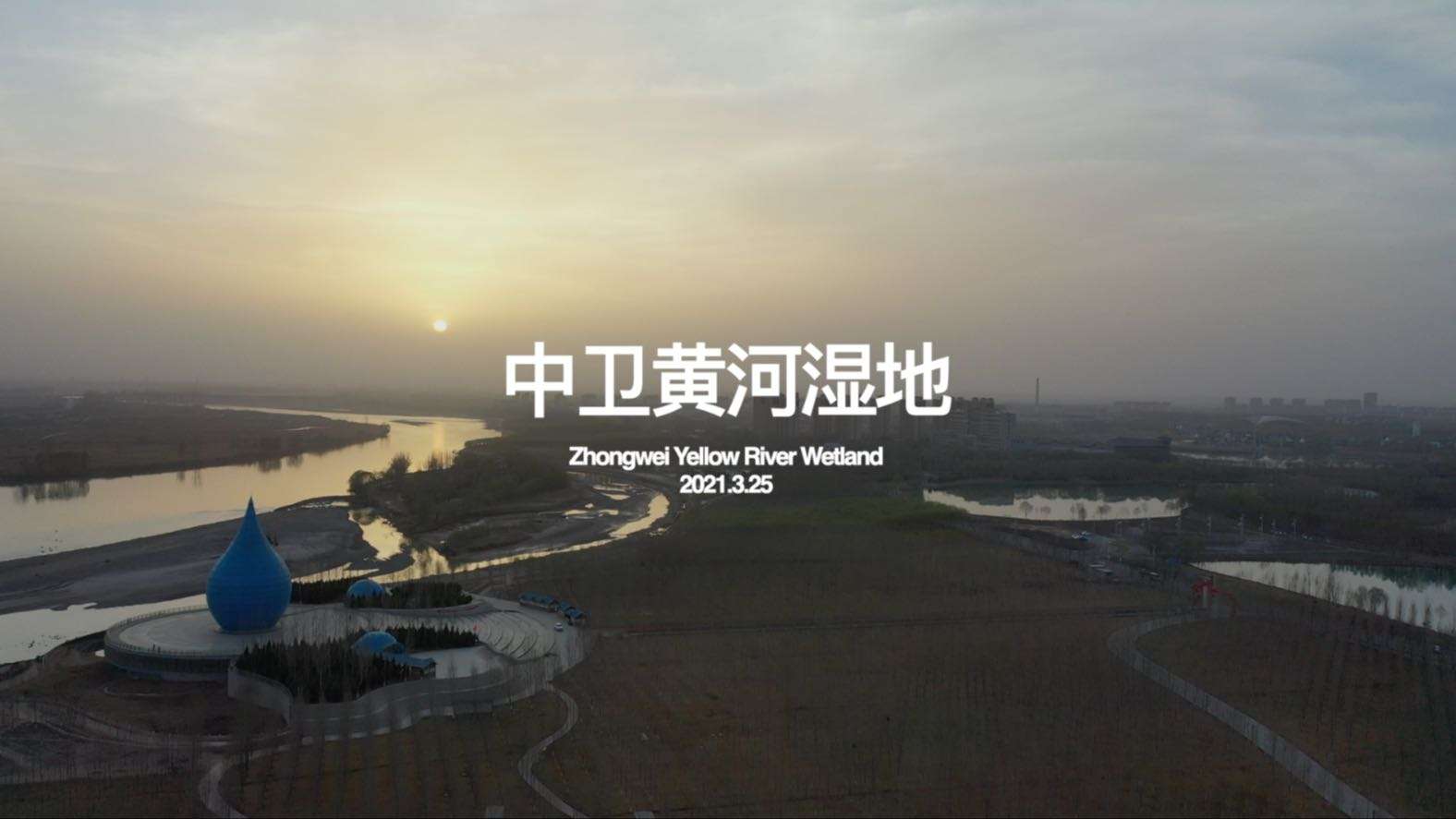 “甘疆青” 158天自然生态影像纪（1）中卫黄河湿地初春拍鸟