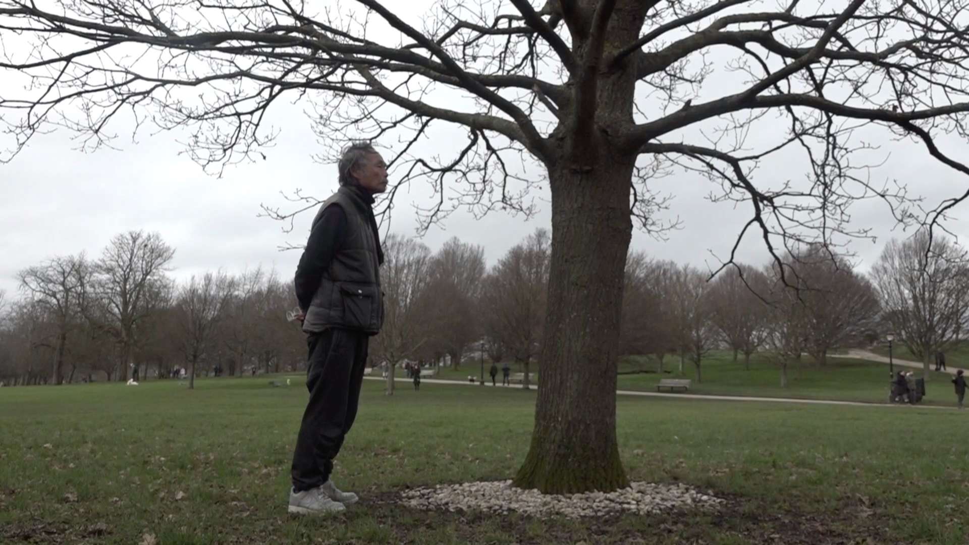 伦敦纪录片-雷蒙的树Raymond‘s tree