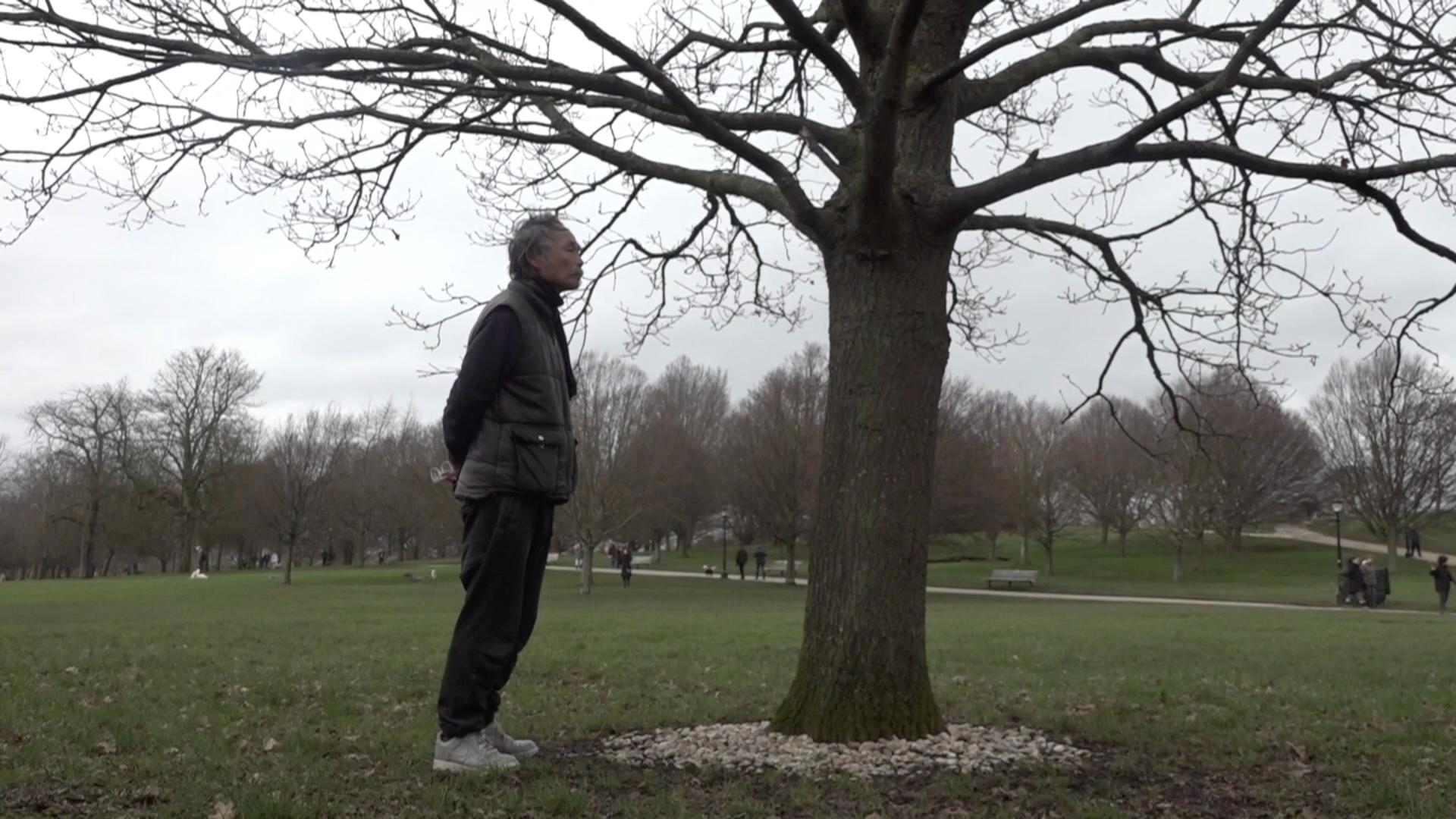 伦敦纪录片-雷蒙的树Raymond‘s tree