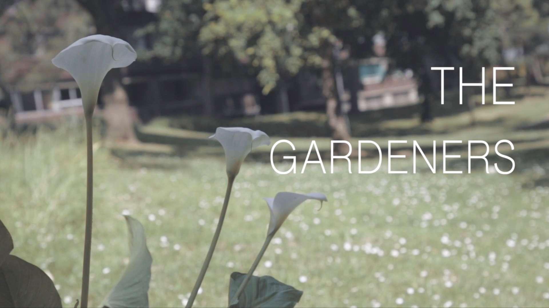 伦敦纪录片-那些种花的人The Gardeners