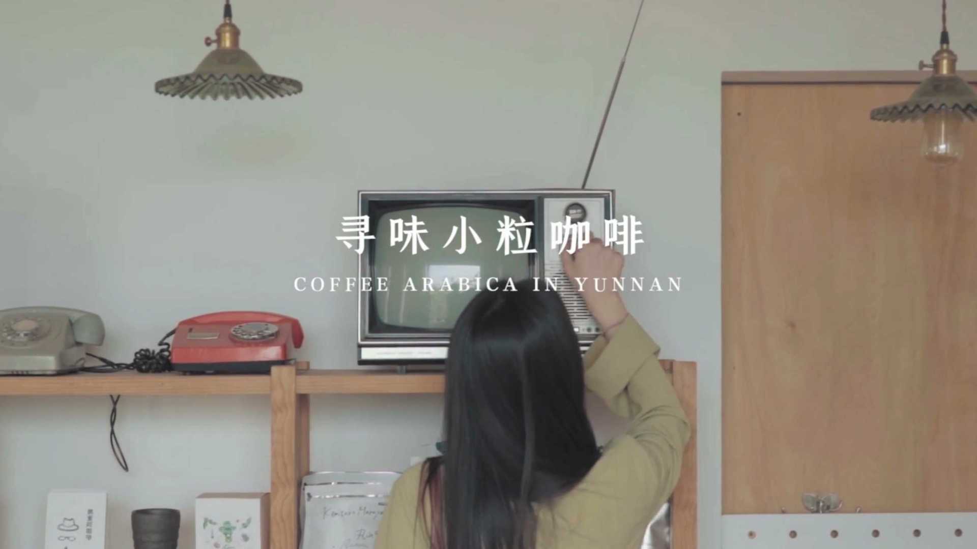 云南Vlog - 寻找小粒咖啡