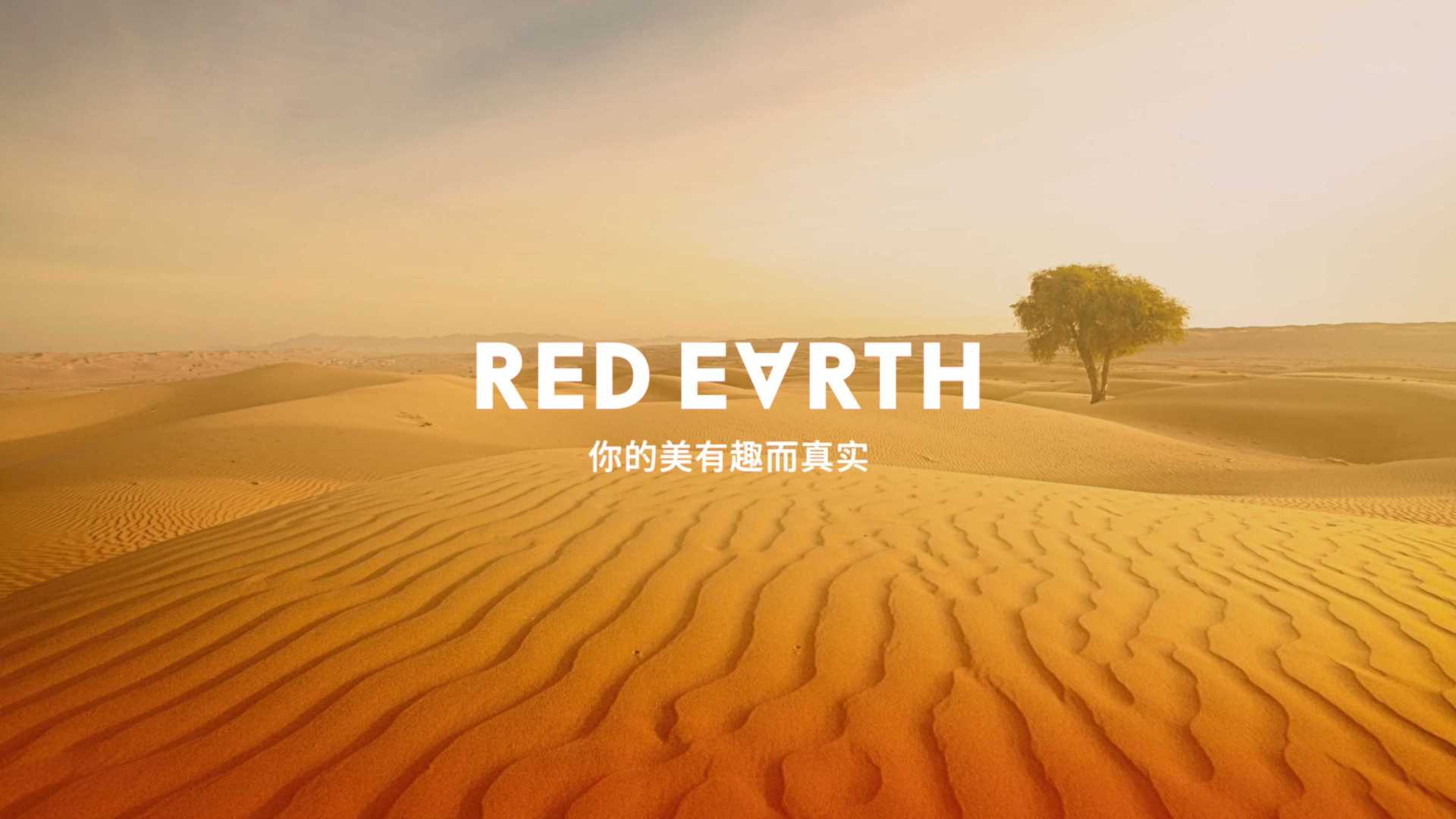 RED EARTH红地球 三角眉笔