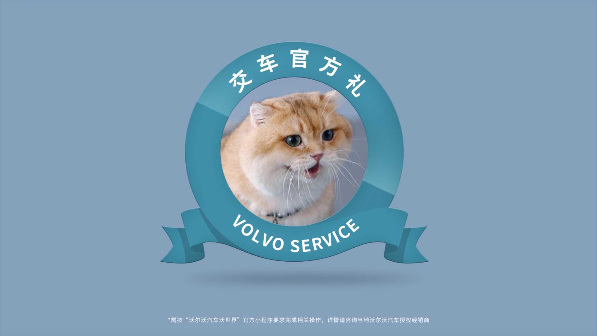 Volvo 「猫咪世界」销售六大服务承诺
