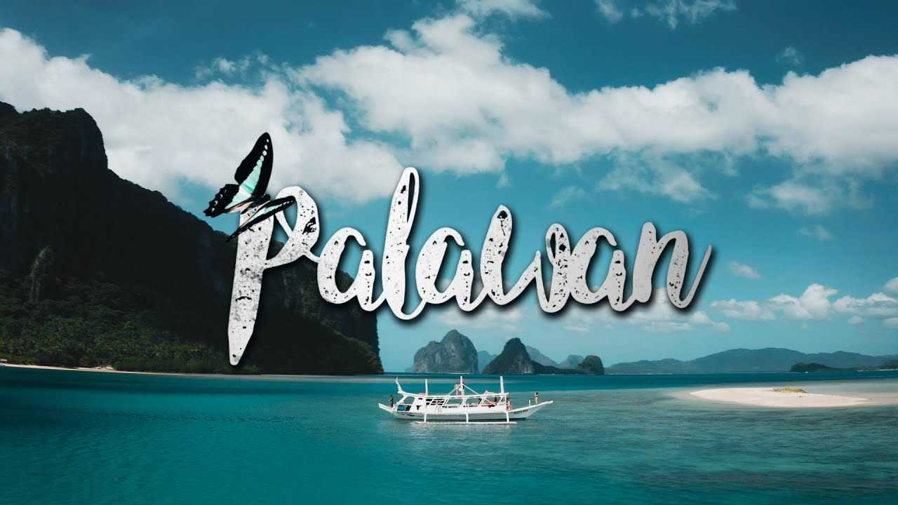菲律宾旅行Vlog 阳光椰子树