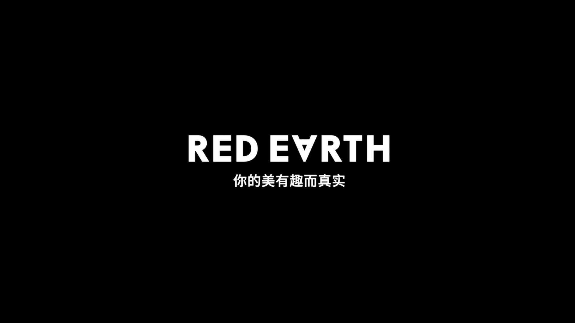 RED EARTH红地球 三角眉笔