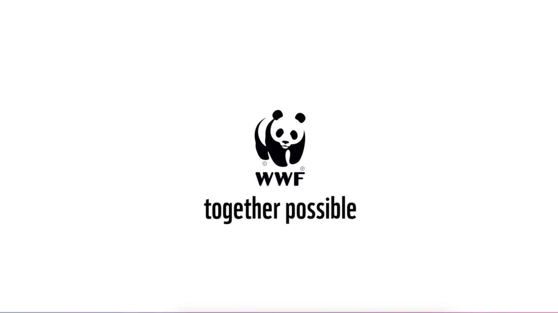 WWF世界自然基金会—我为穿山甲美甲（明星志愿者马伯骞 宋茜）