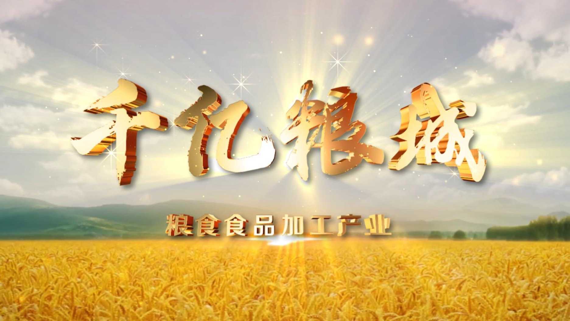 滨州十强产业——粮食食品加工产业宣传片