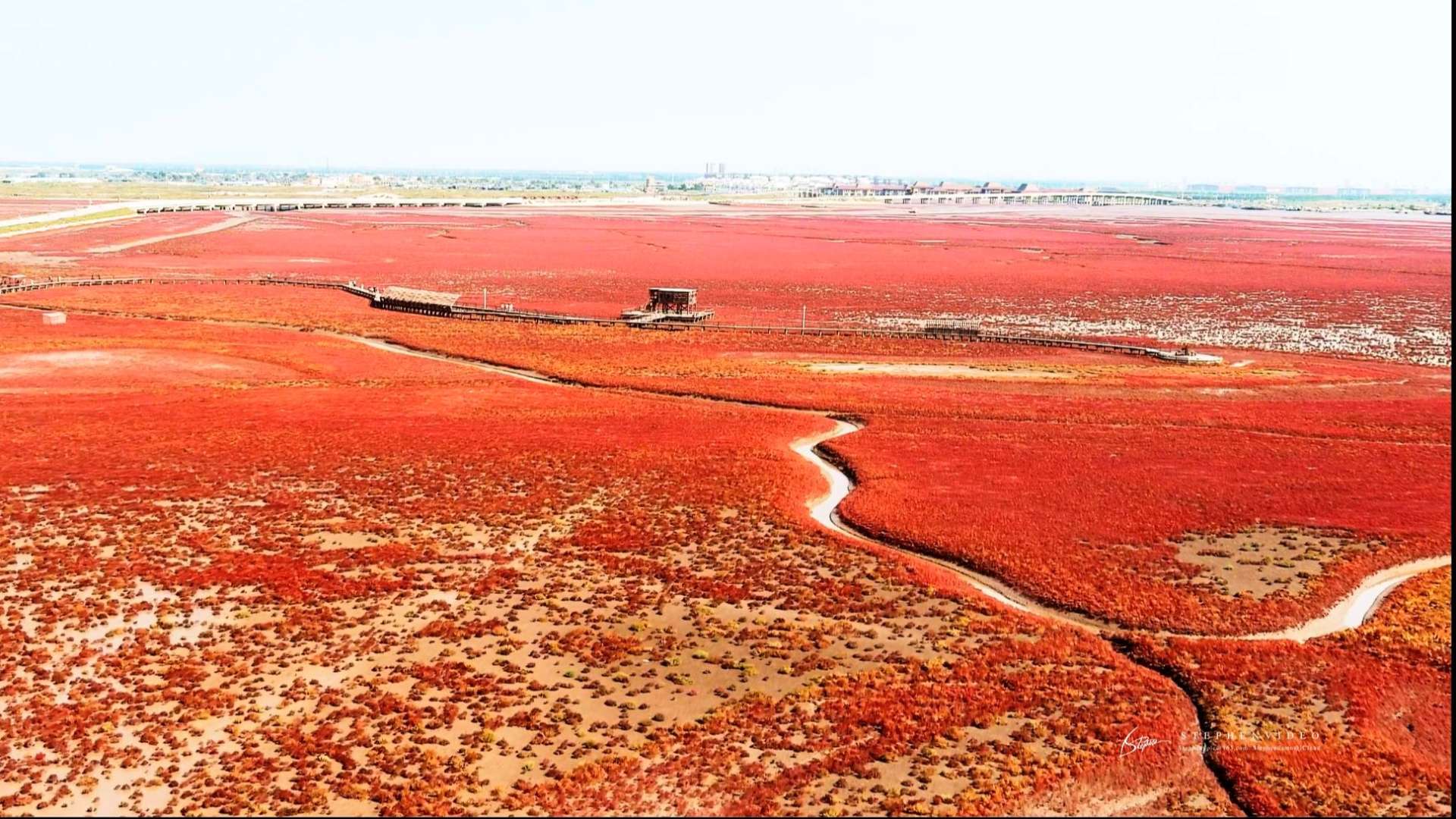 航拍盘锦 中国红 红海滩国家风景廊道