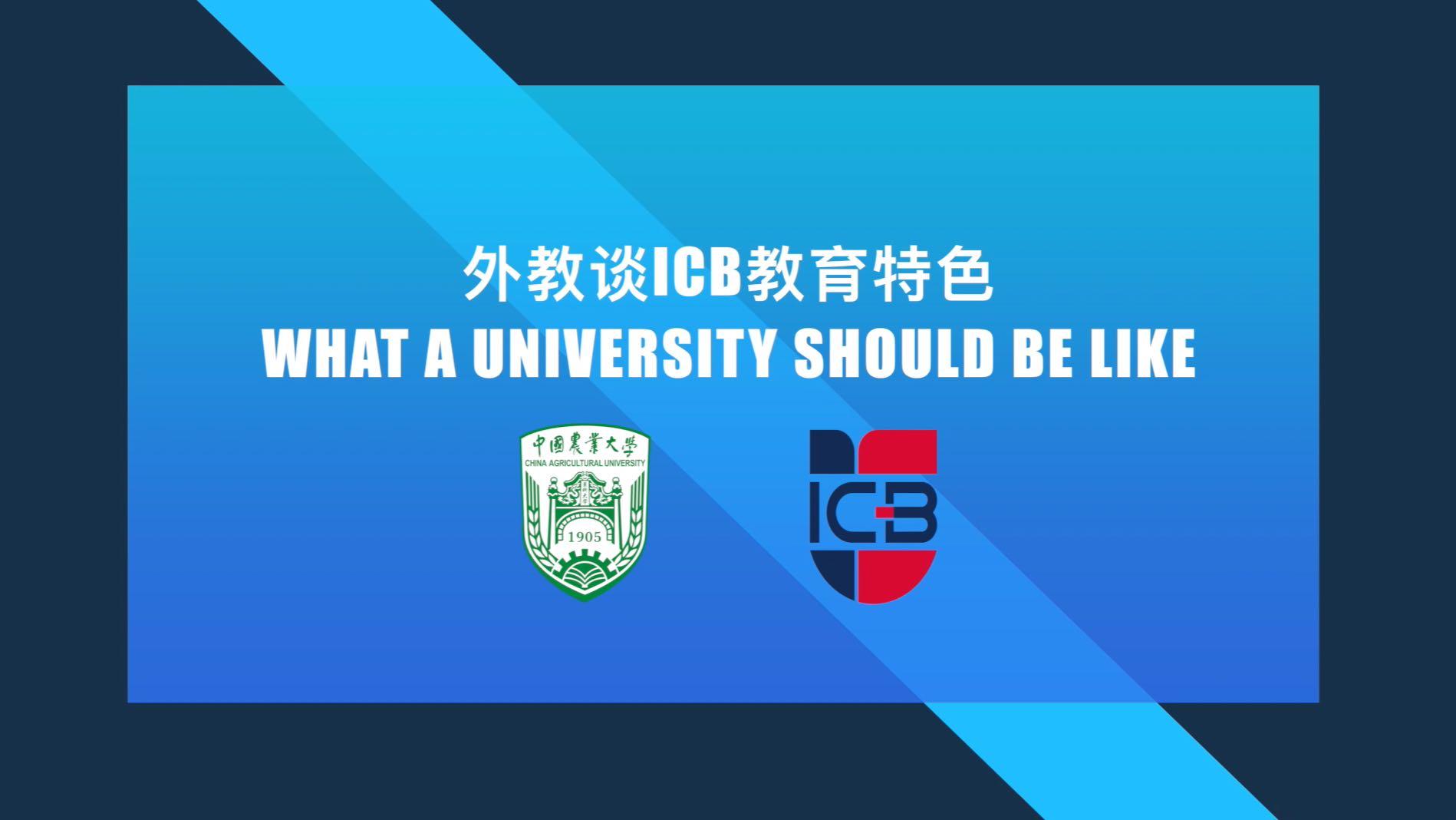 what a university should be like-国院
