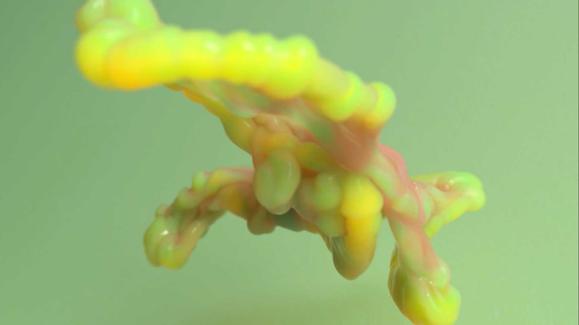 治愈系视觉短片《珊瑚开花》