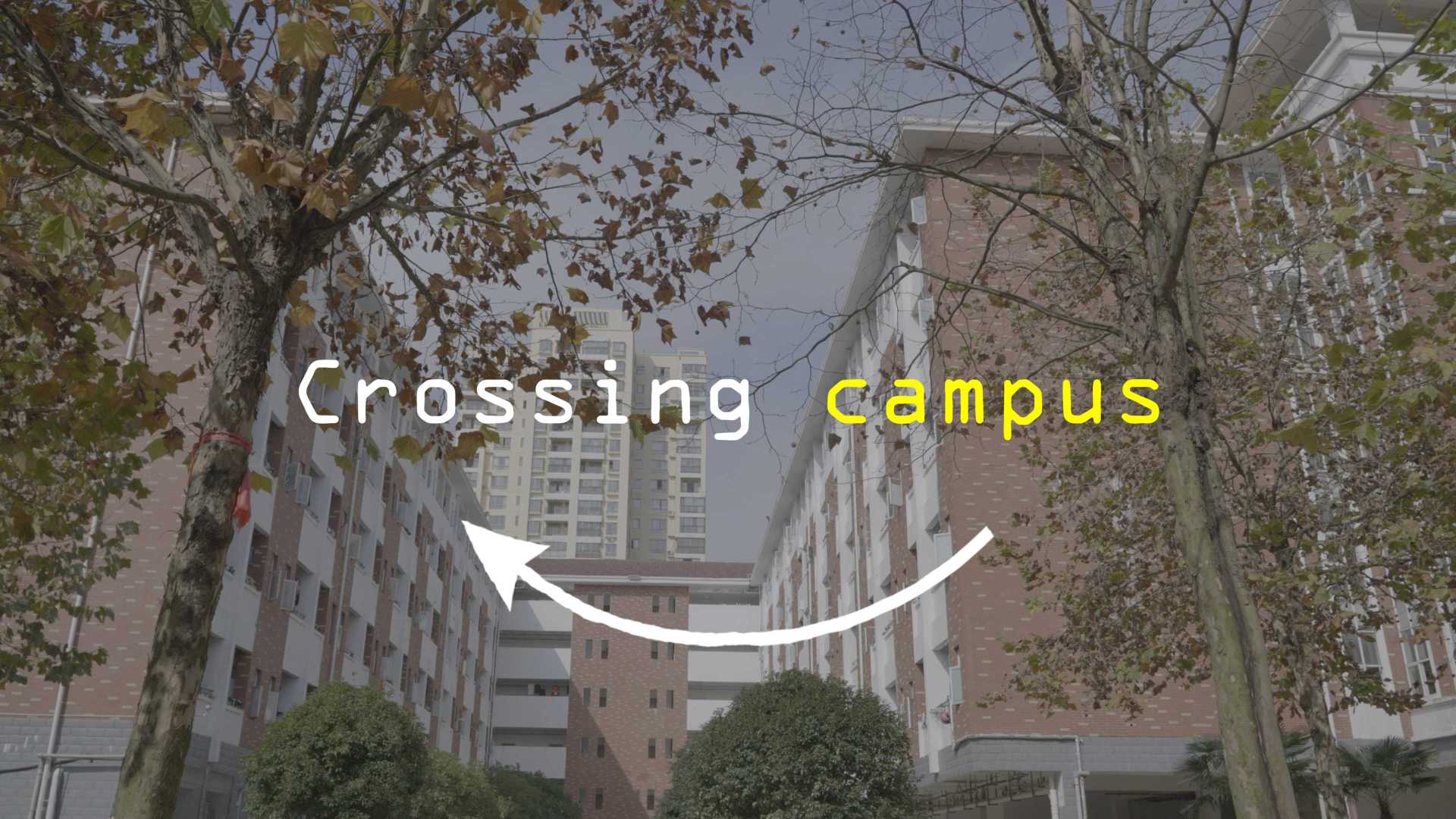 Crossing campus