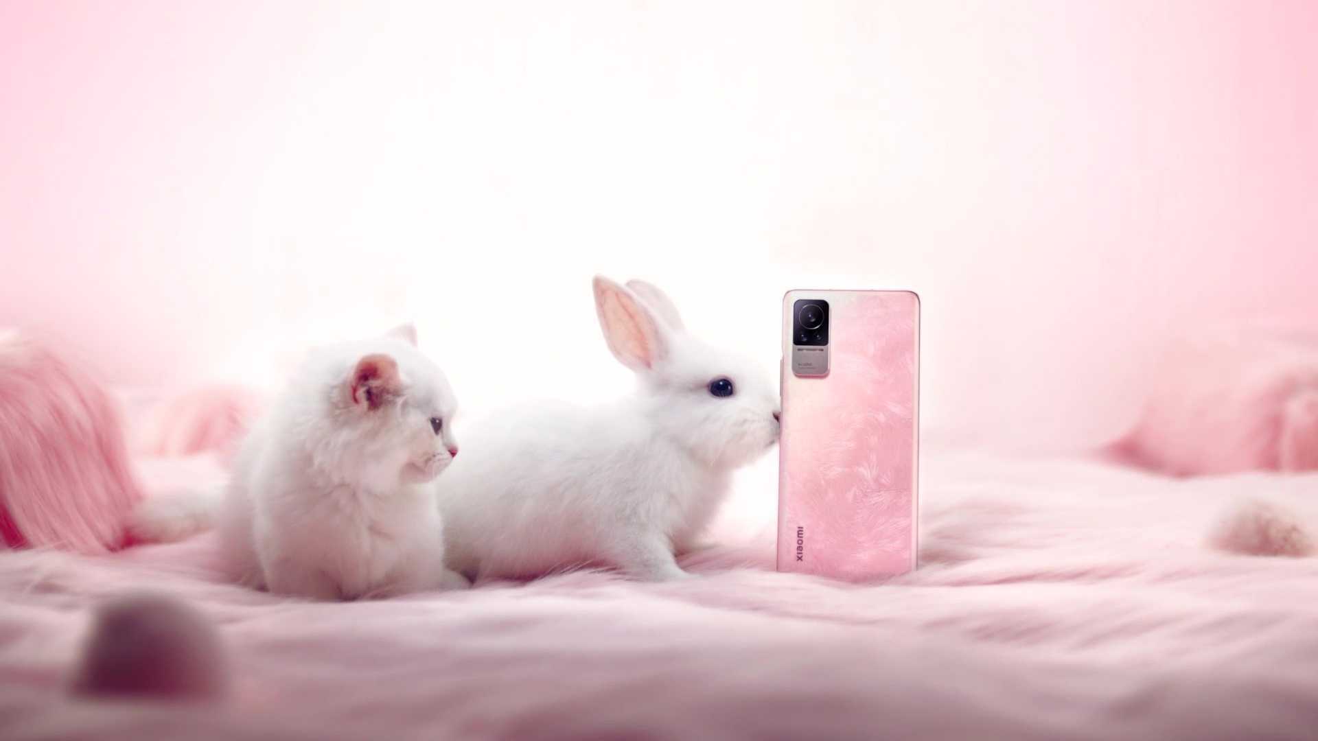 小米Civi 粉色外观篇 猫咪兔兔