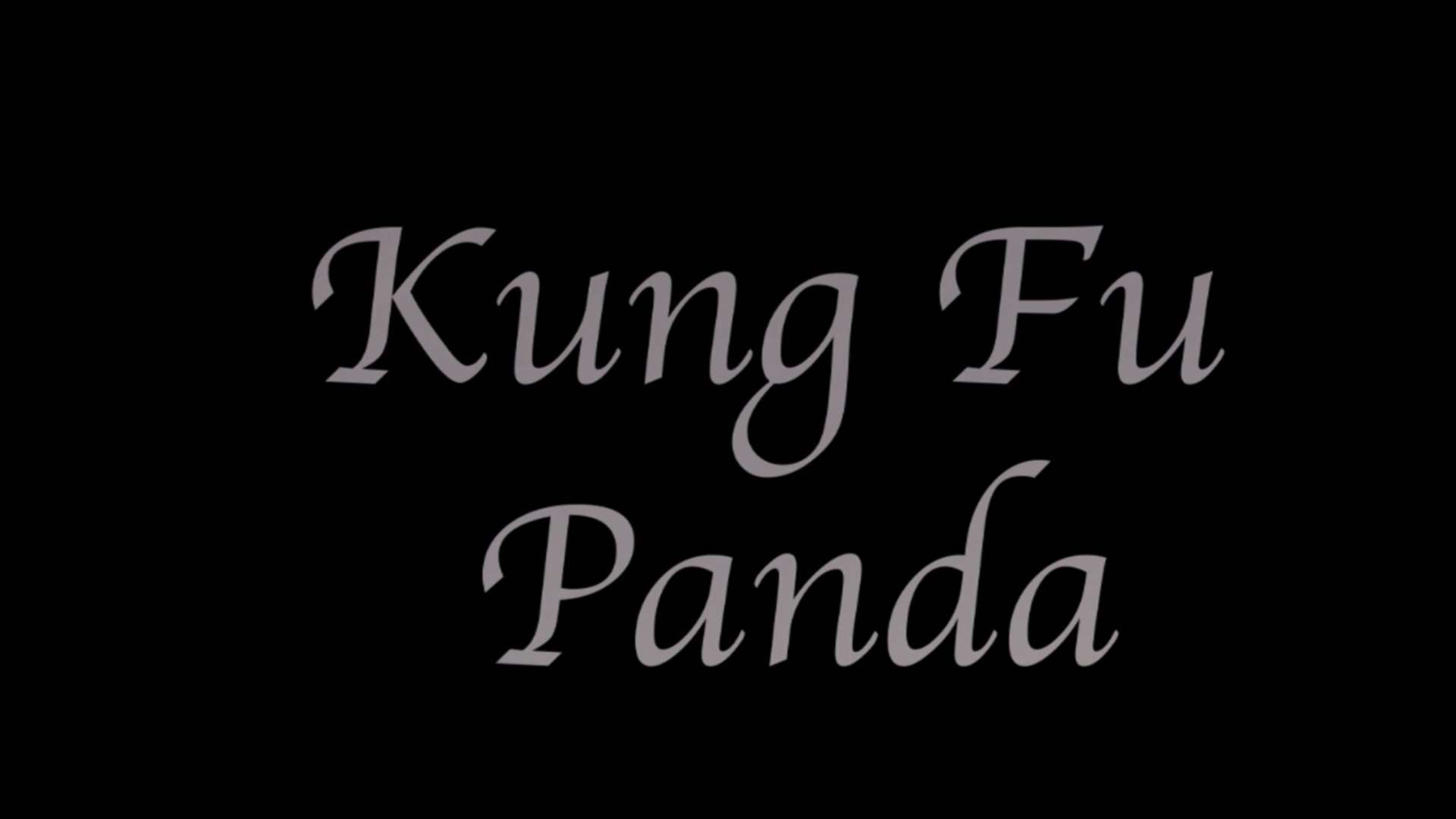 中国功夫、中国熊猫，漂亮国的Kung Fu Panda