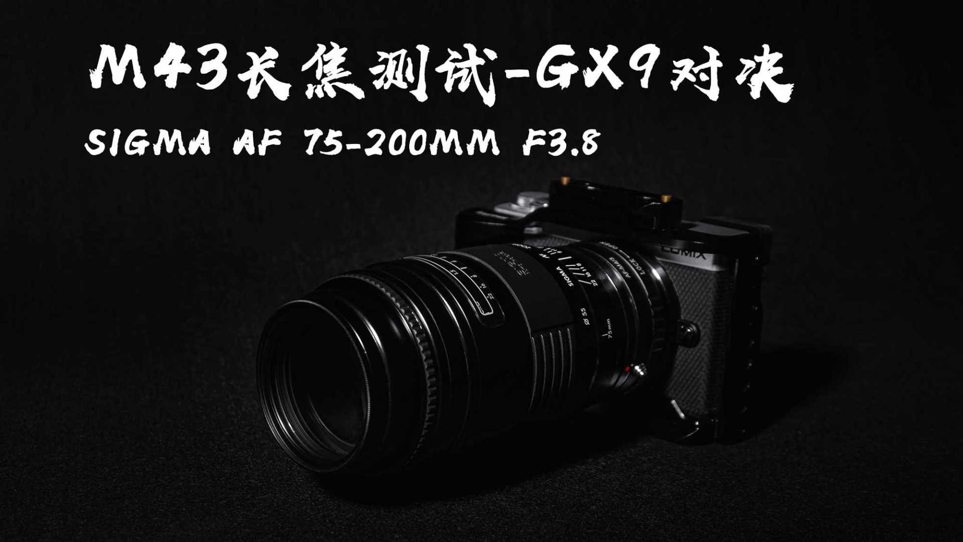 2022年最具性价比长焦镜头，松下GX9测试适马AF 75-200mm F3.8