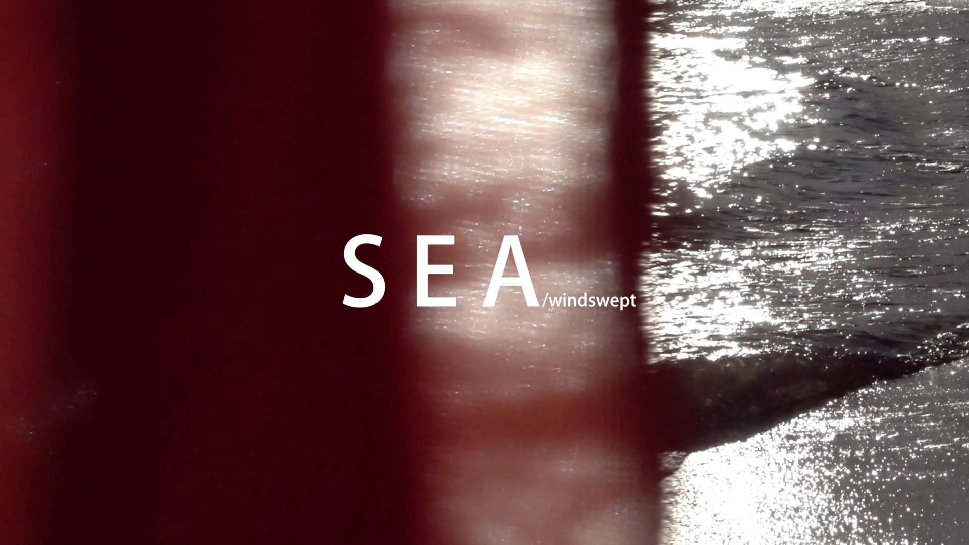 视觉短片 《海-随风摆动的》SEA-windswept