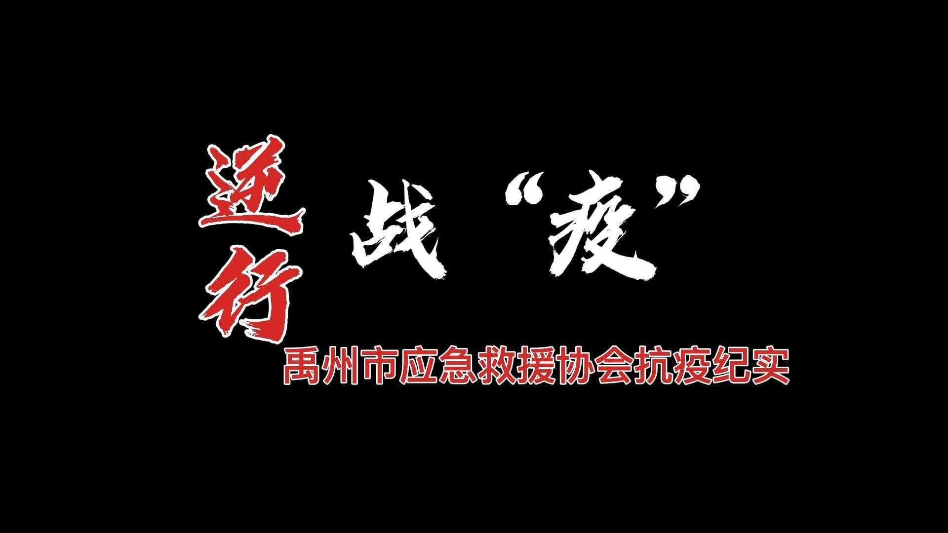 逆行战“疫”——禹州市应急救援协会抗疫纪实