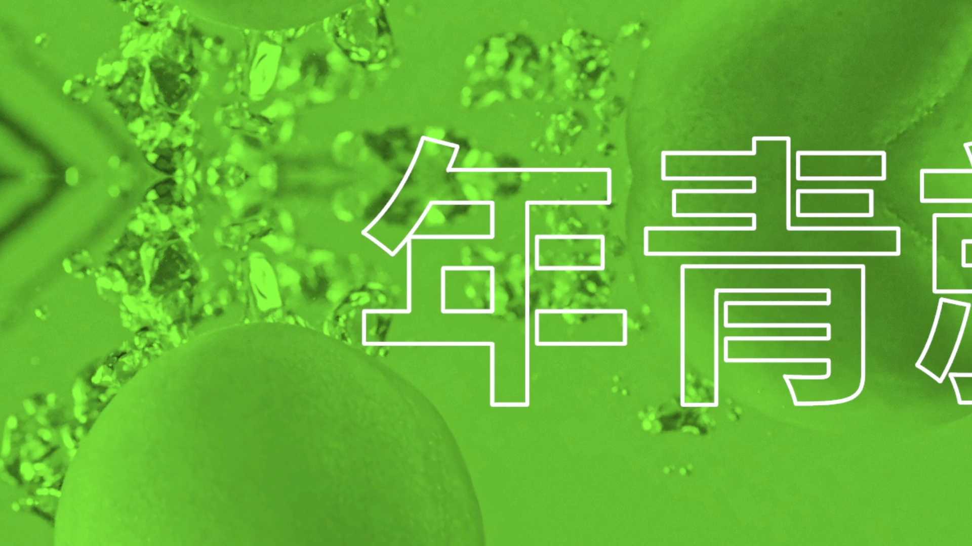 中国青梅-溜溜梅脆青梅产品片