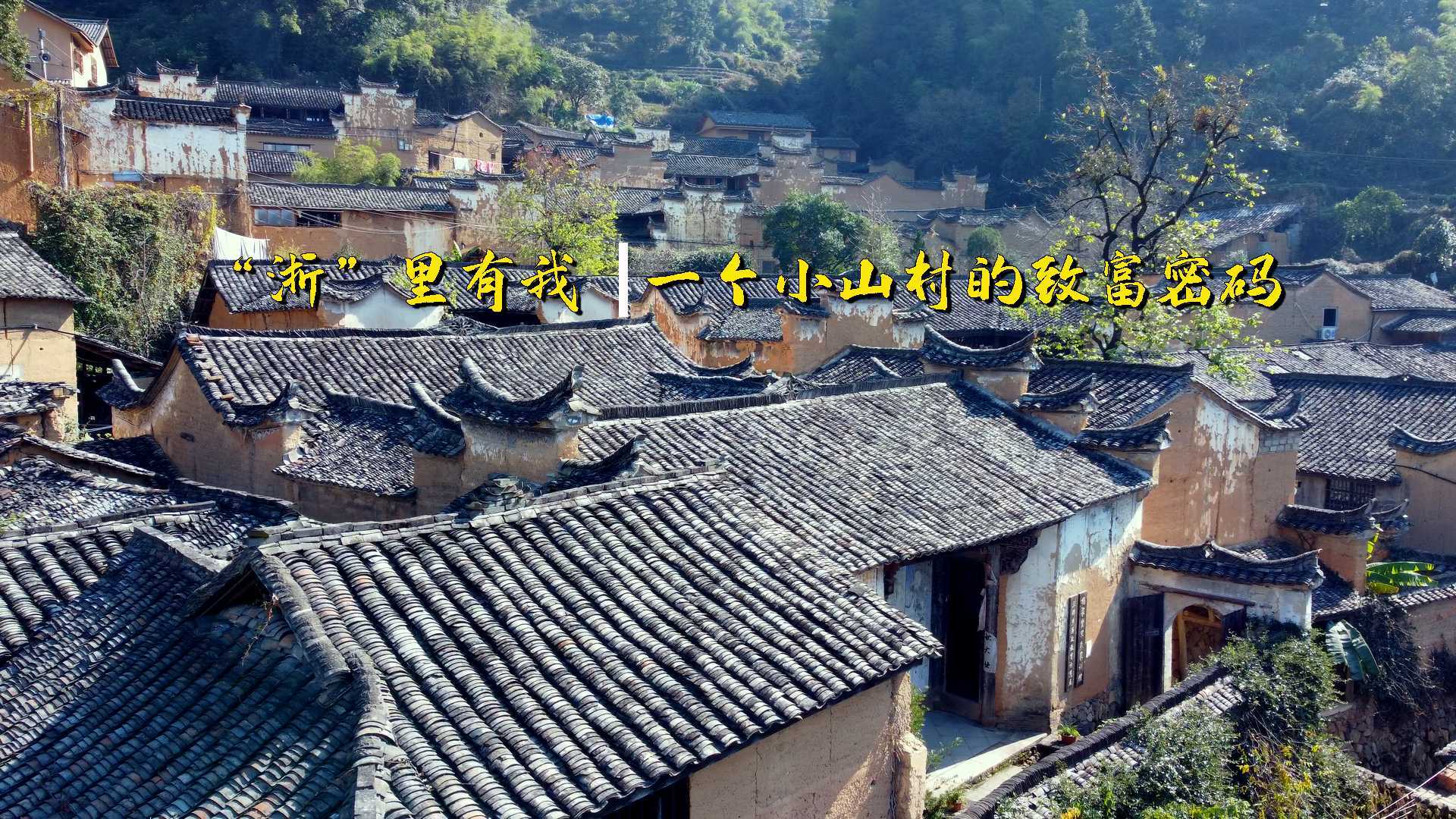 “浙”里有我  一个小山村的致富密码(审片）