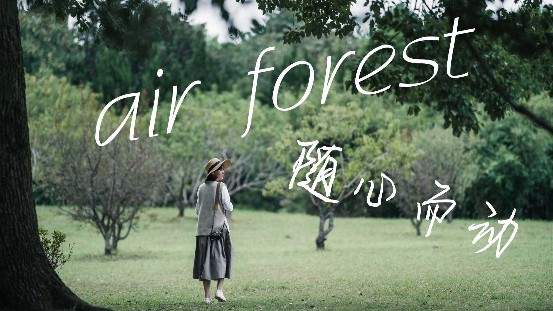 原创VLOG | 森林短片 | 随心而动《air forest》