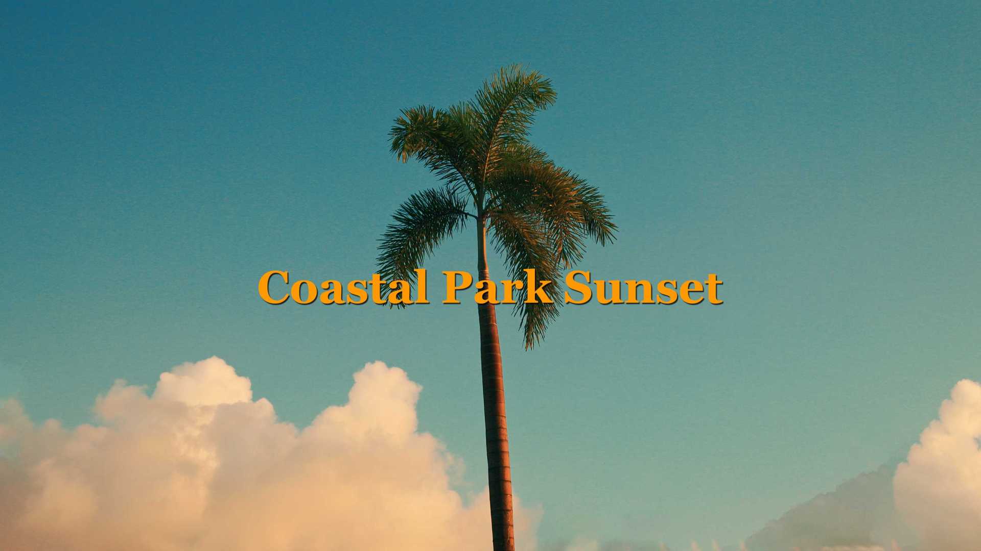 Coastal Park Sunset / 在深圳海边公园看一场复古的浪漫日落