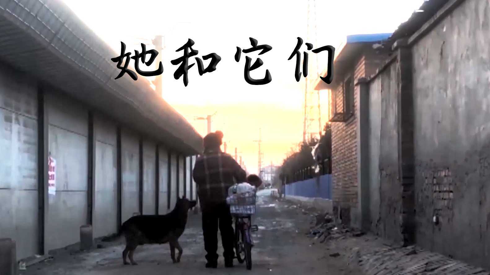 中国传媒大学—电影—郭晓军《她和它们》