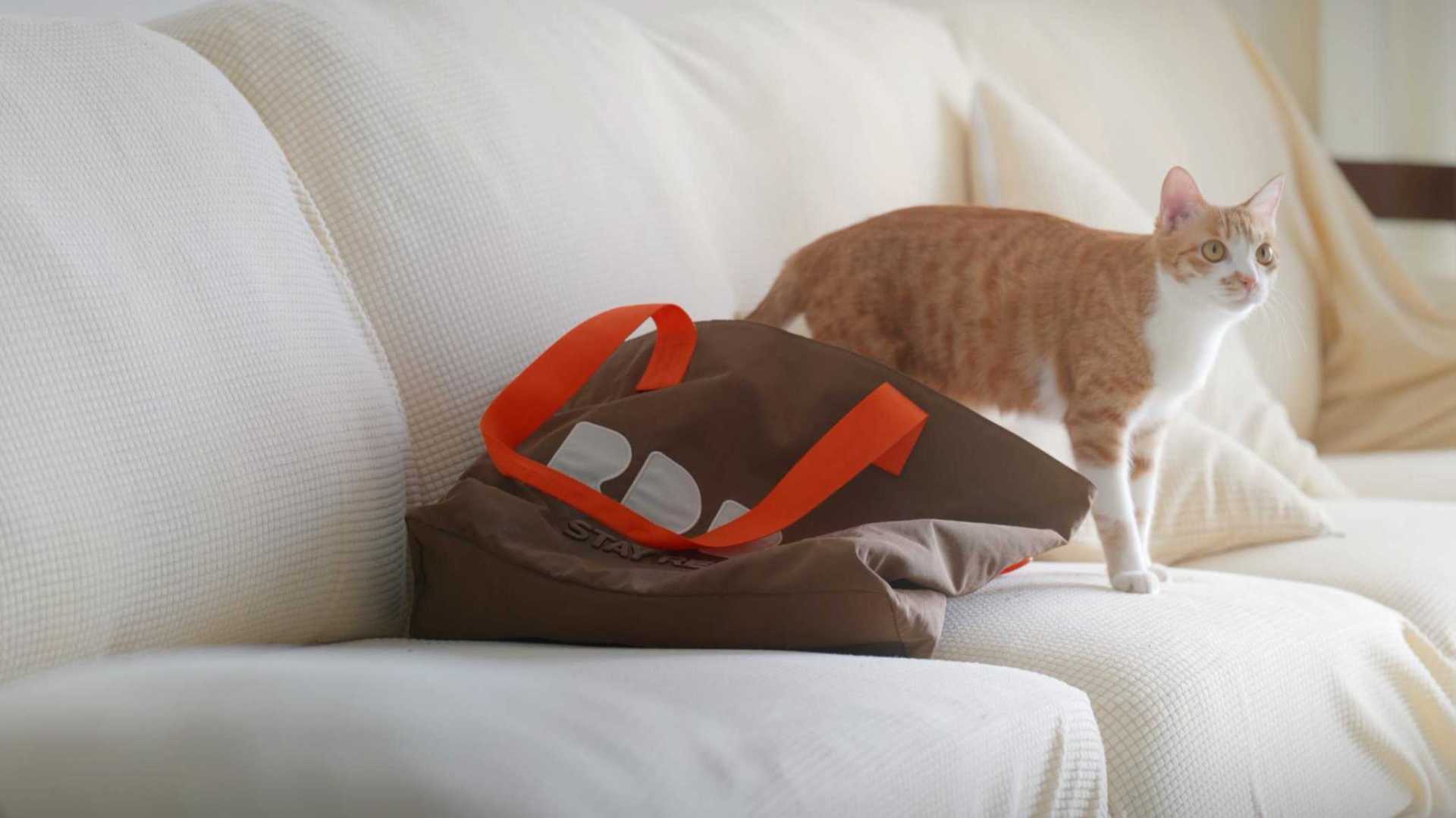 广告 | RDBK |  猫猫与包包