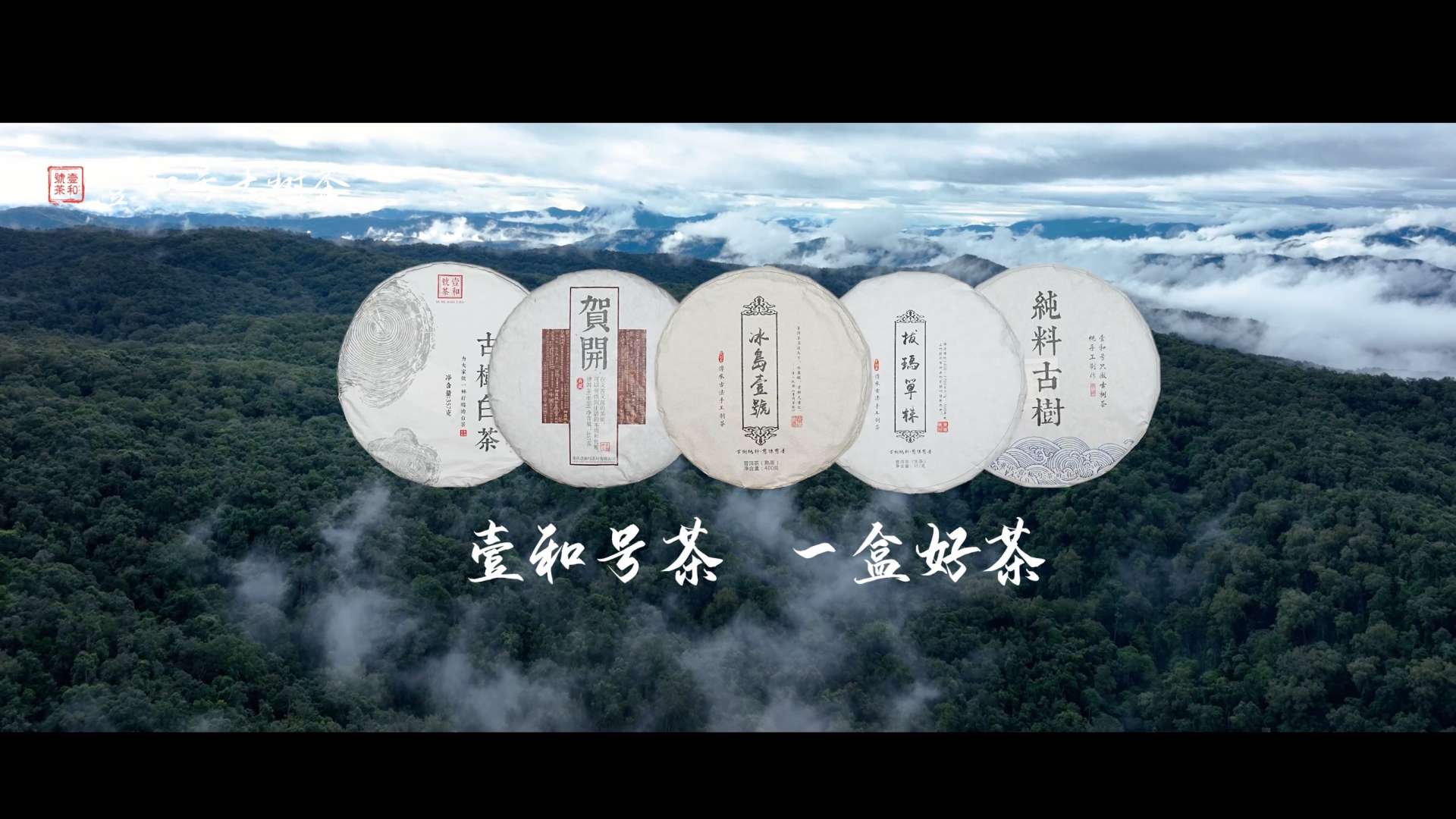 壹和号古树茶宣传片