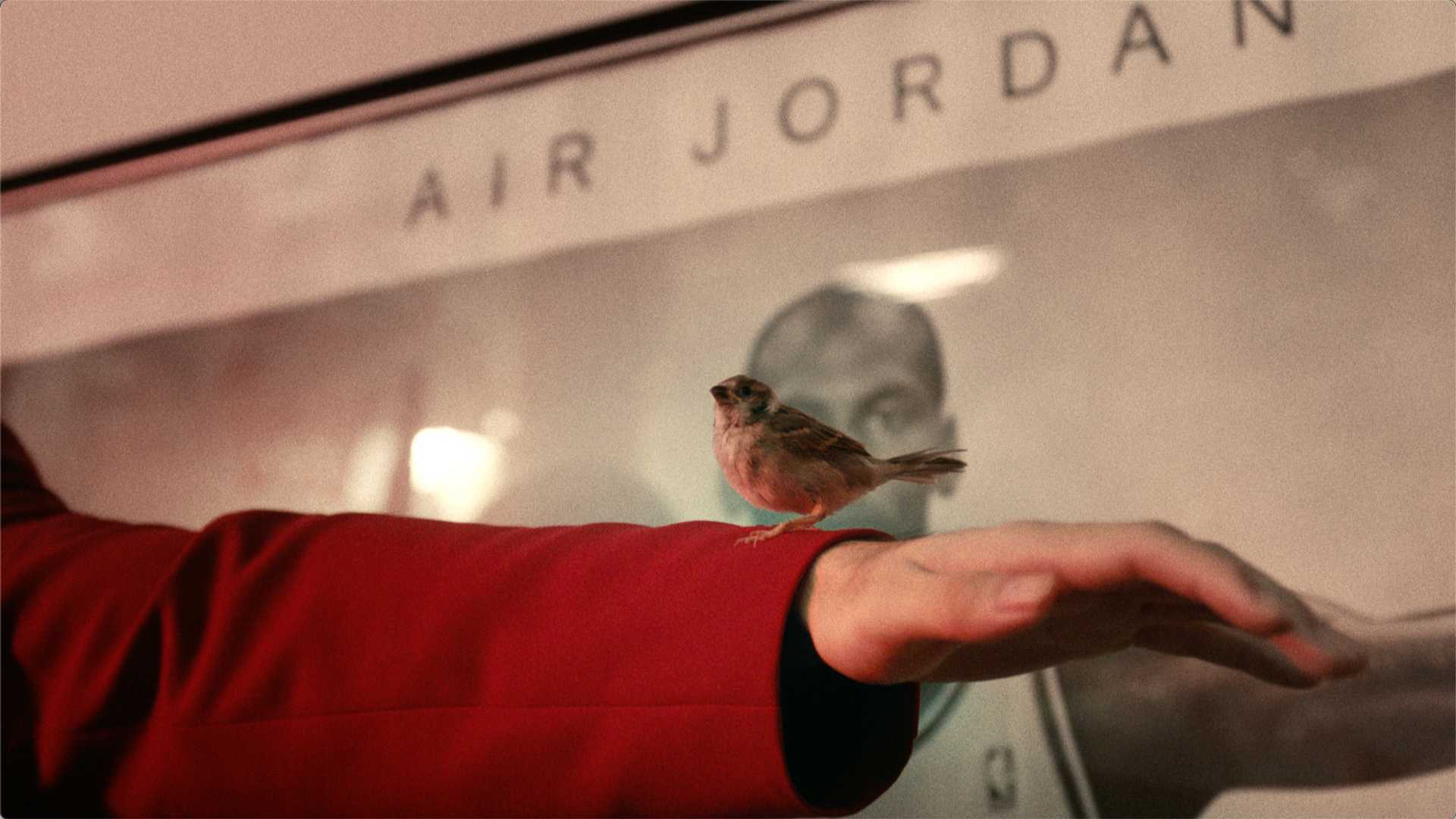 JORDAN | 行走的JORDAN百科 - 小小鸟？