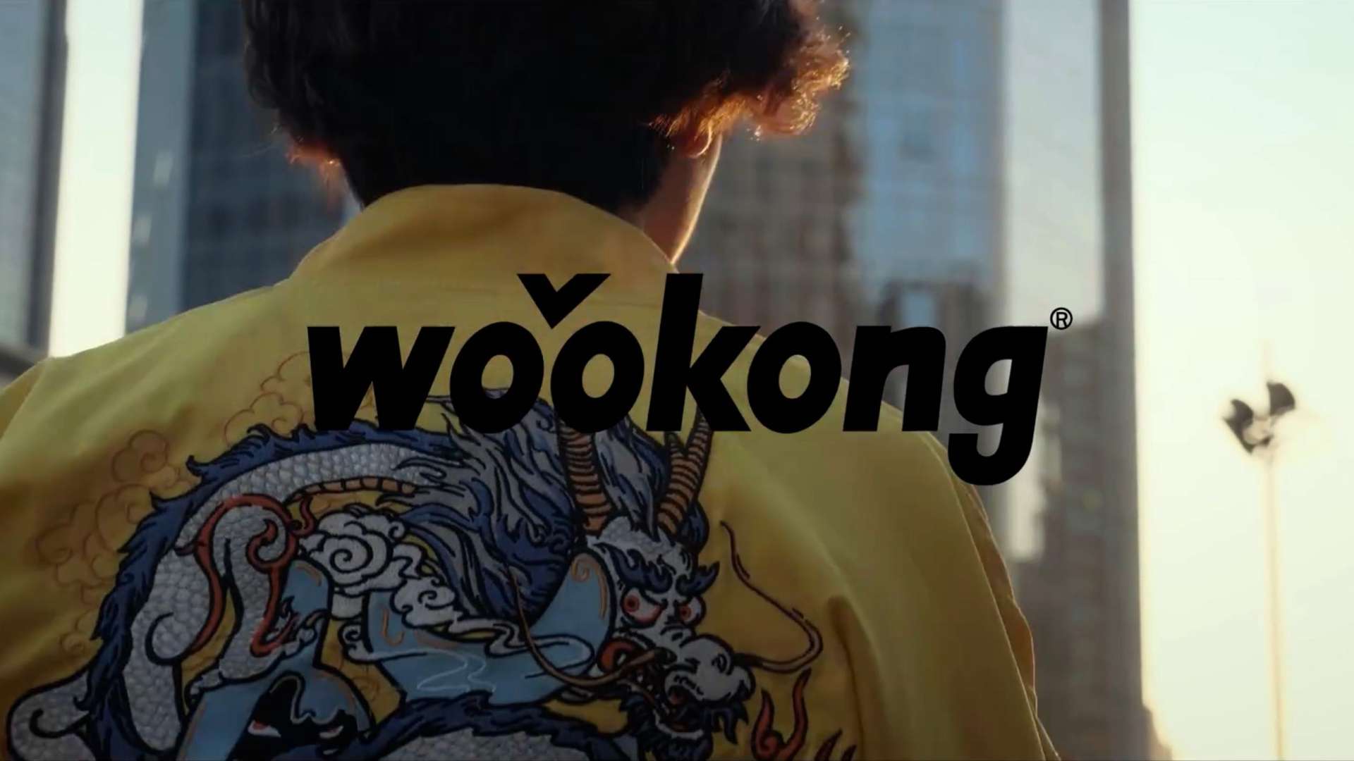 wookong-小白龙
