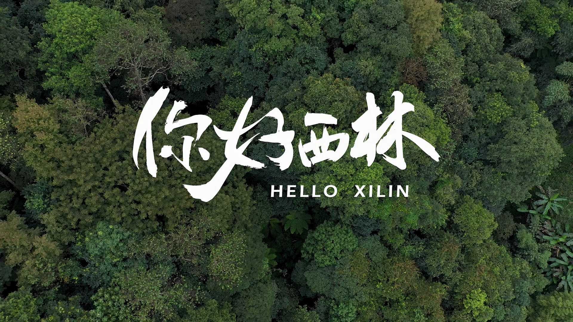 《你好西林》宣传片 | “广西西大门”西林县，广西最西端的县城