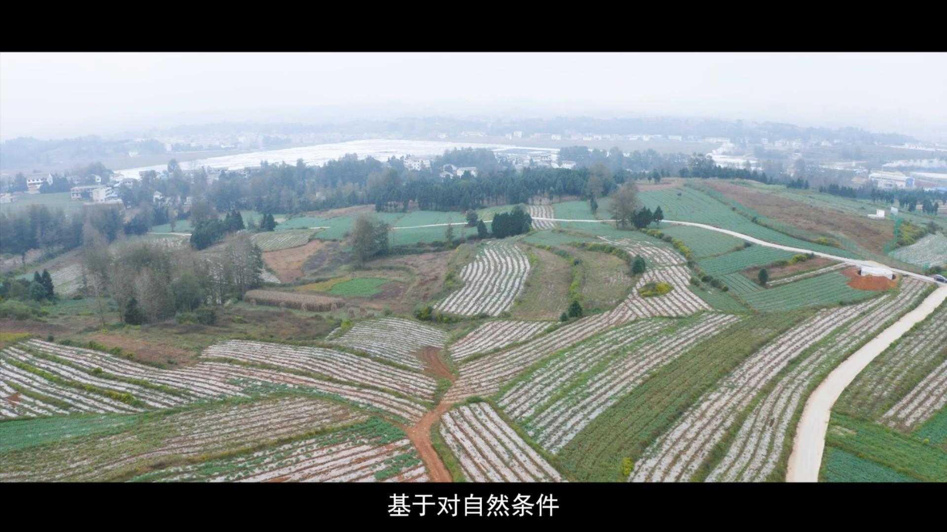 贵州省农业合作社专题片