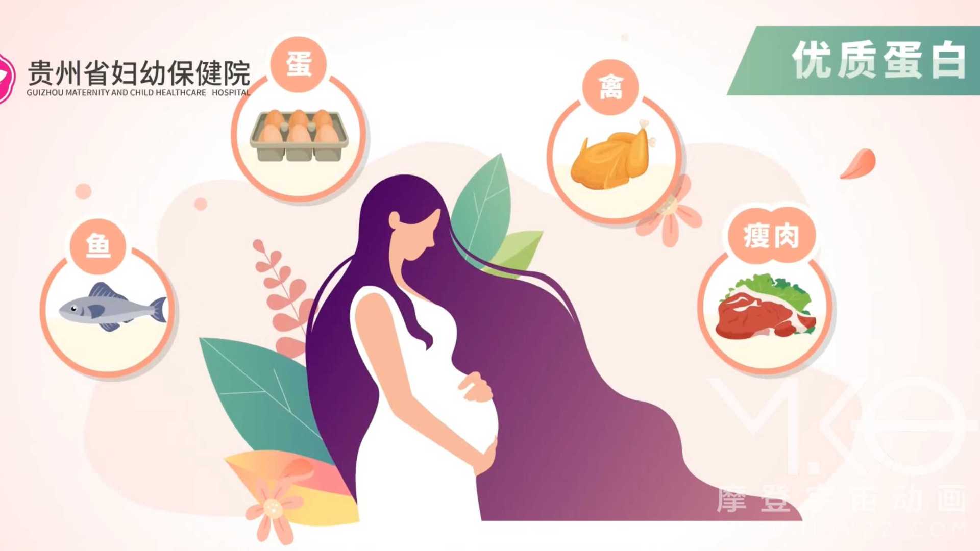 贵州妇幼保健院-孕期营养医疗科普动画- MG动画项目