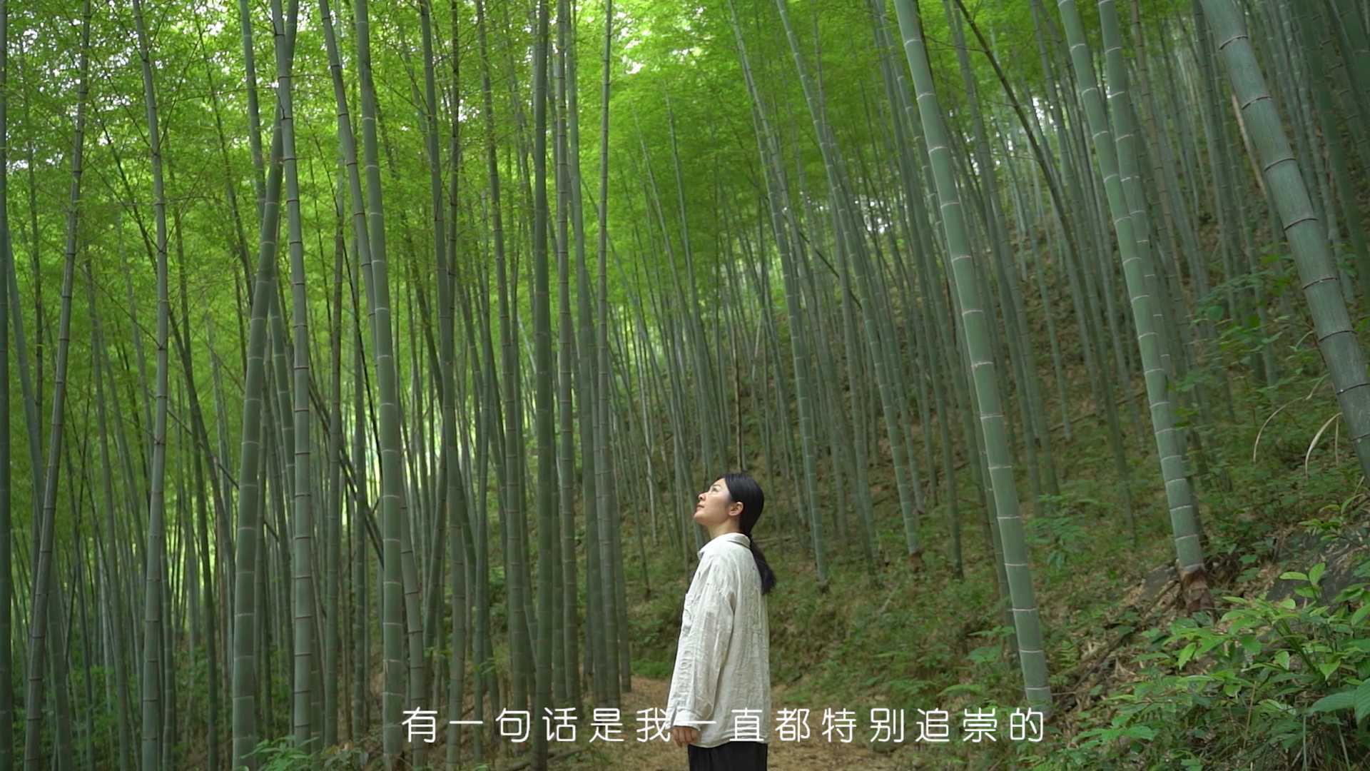 「宣传片」I  茗泉山房主理人长秋宣传片