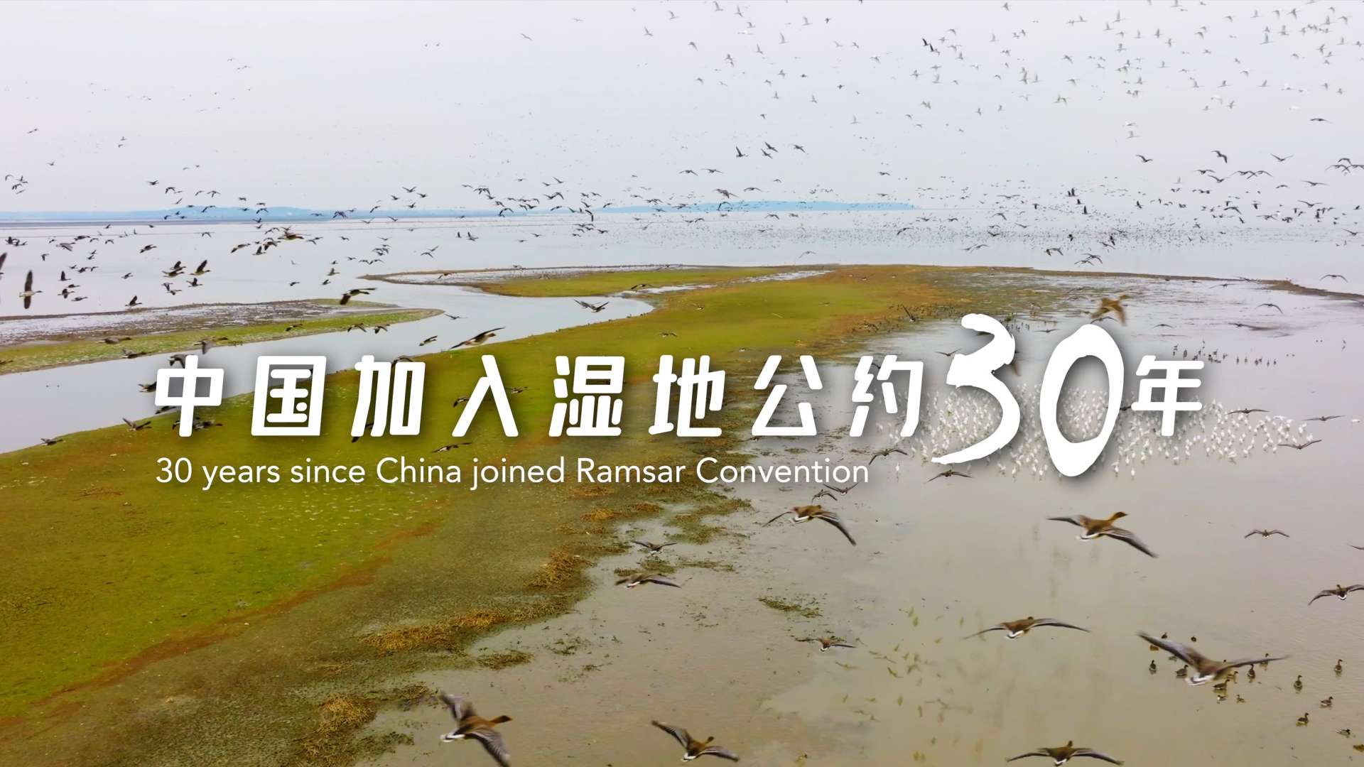 【COP14】30年！这是中国对地球“物种基因库”的庄严守护