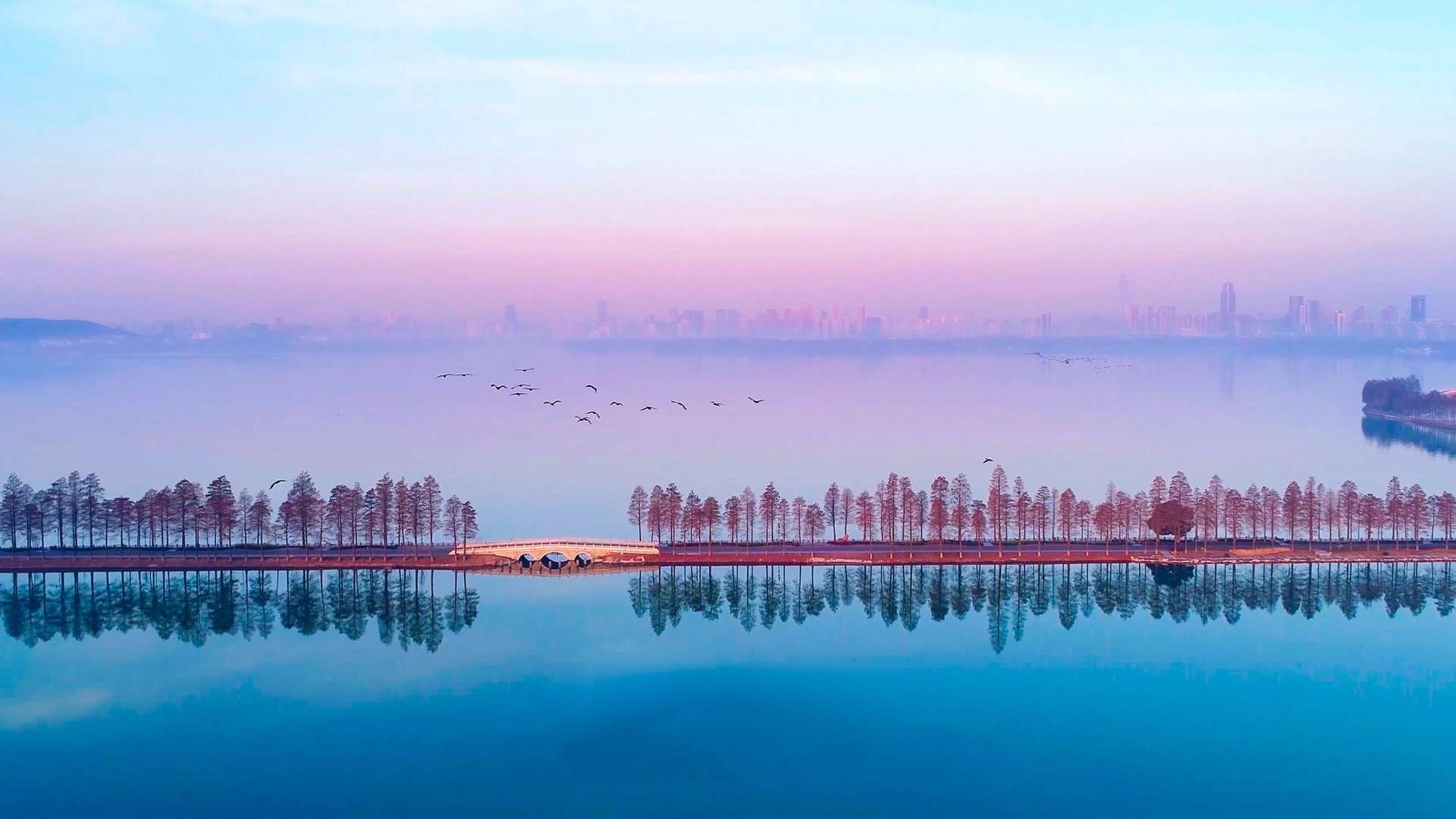 【COP14】武汉东湖，让世界瞩目｜《东湖城市绿心》